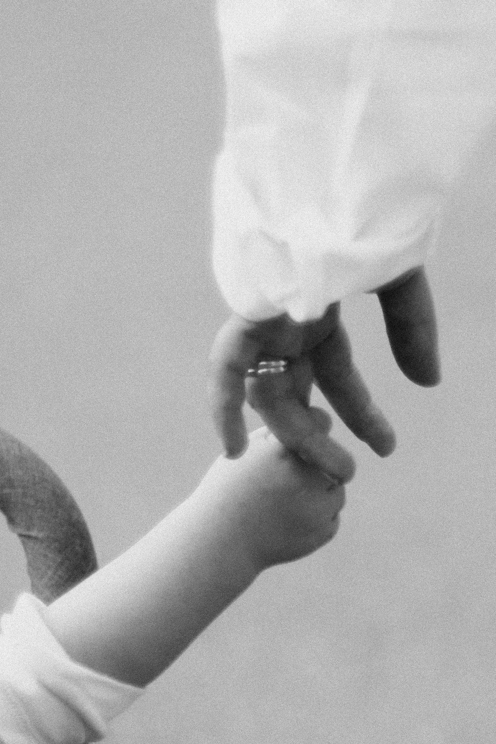 Saranev Family Photographer