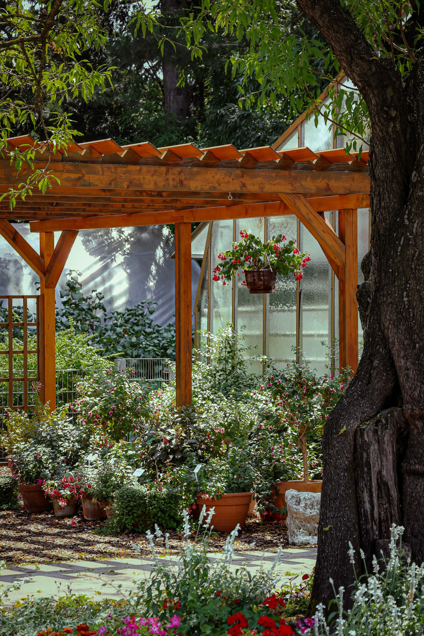 Kagran School Gardens