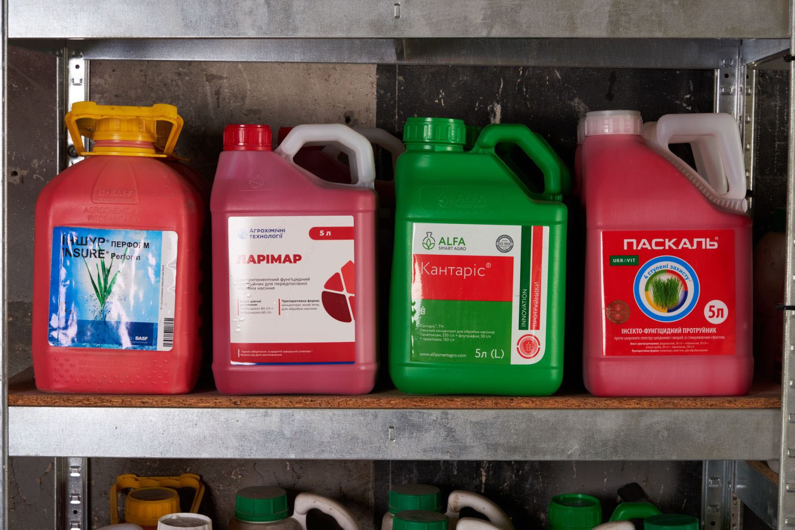 Кантаріс, Ларімар, Іншур Перформ, Паскаль