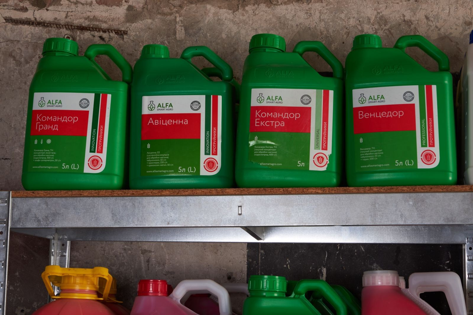 Командор гранд, Командор екстра, Авіценна