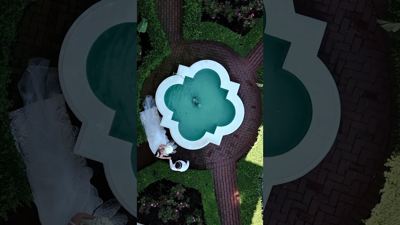 Video. Wedding Photo & Video