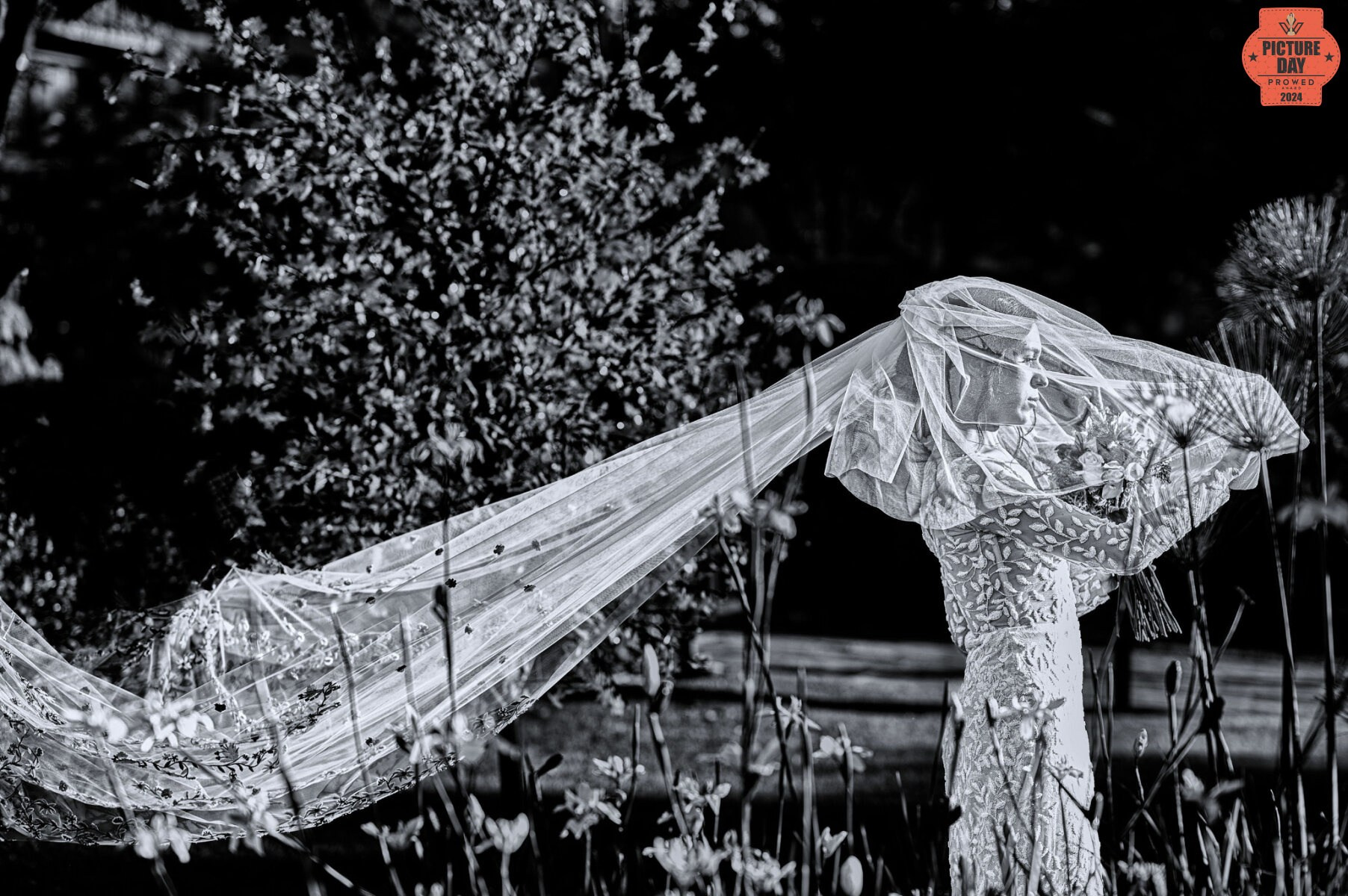 full-length-portrait-bride-lace-dress.