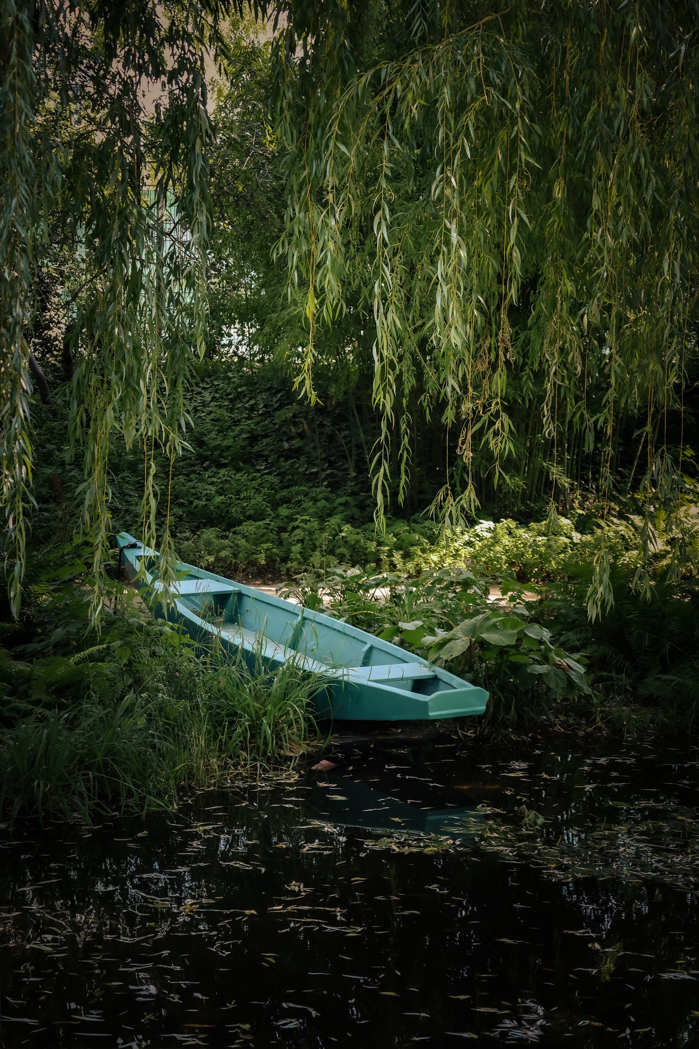 Kagran School Gardens