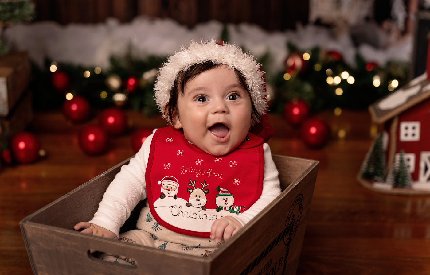 Christmas mini sessions 2025| Sydney. Newborn and family photographer. Hills District. Sydney