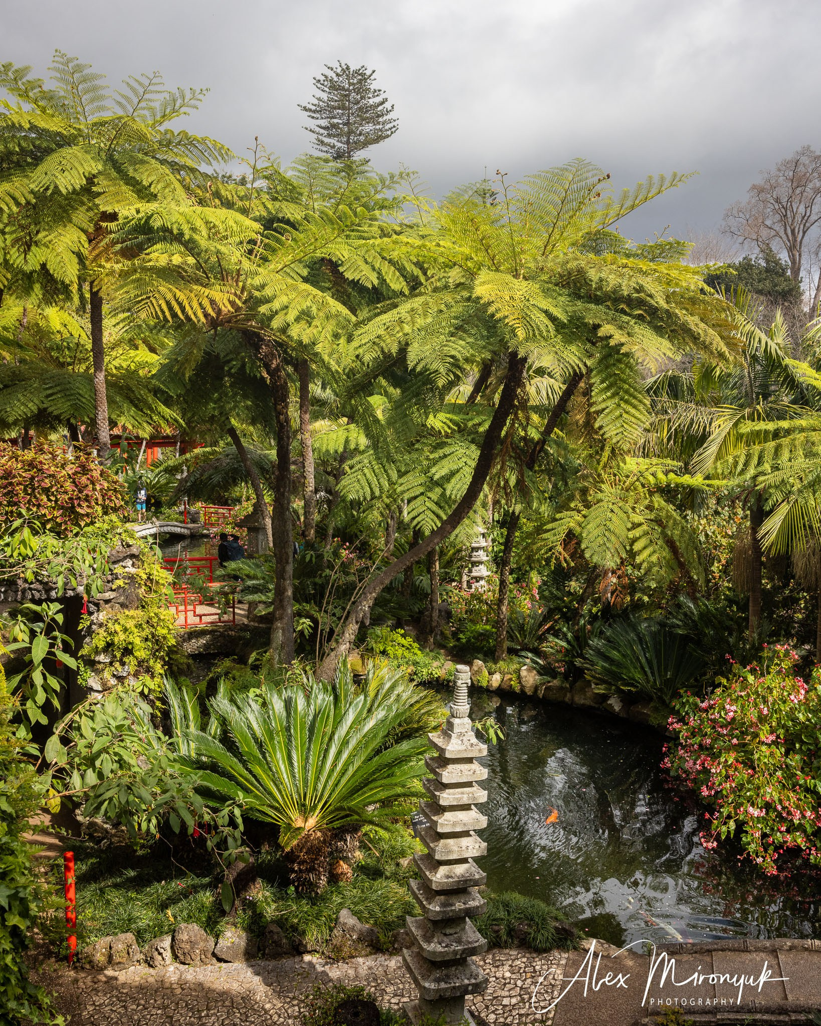 Azores And Madeira. Alex Mironyuk Photography