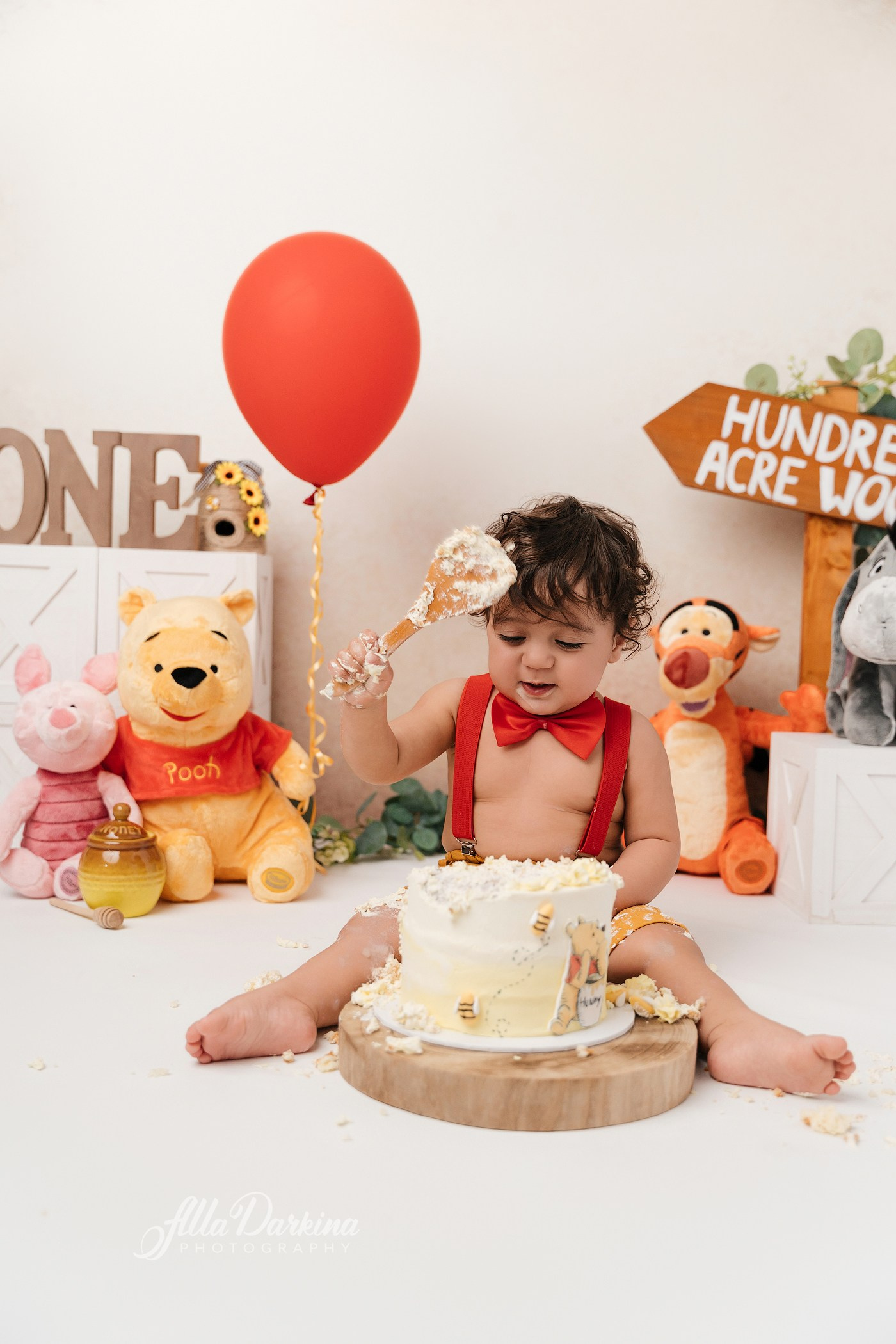 Winnie The Pooh cake smash session. Newborn and family photographer. Hills District. Sydney