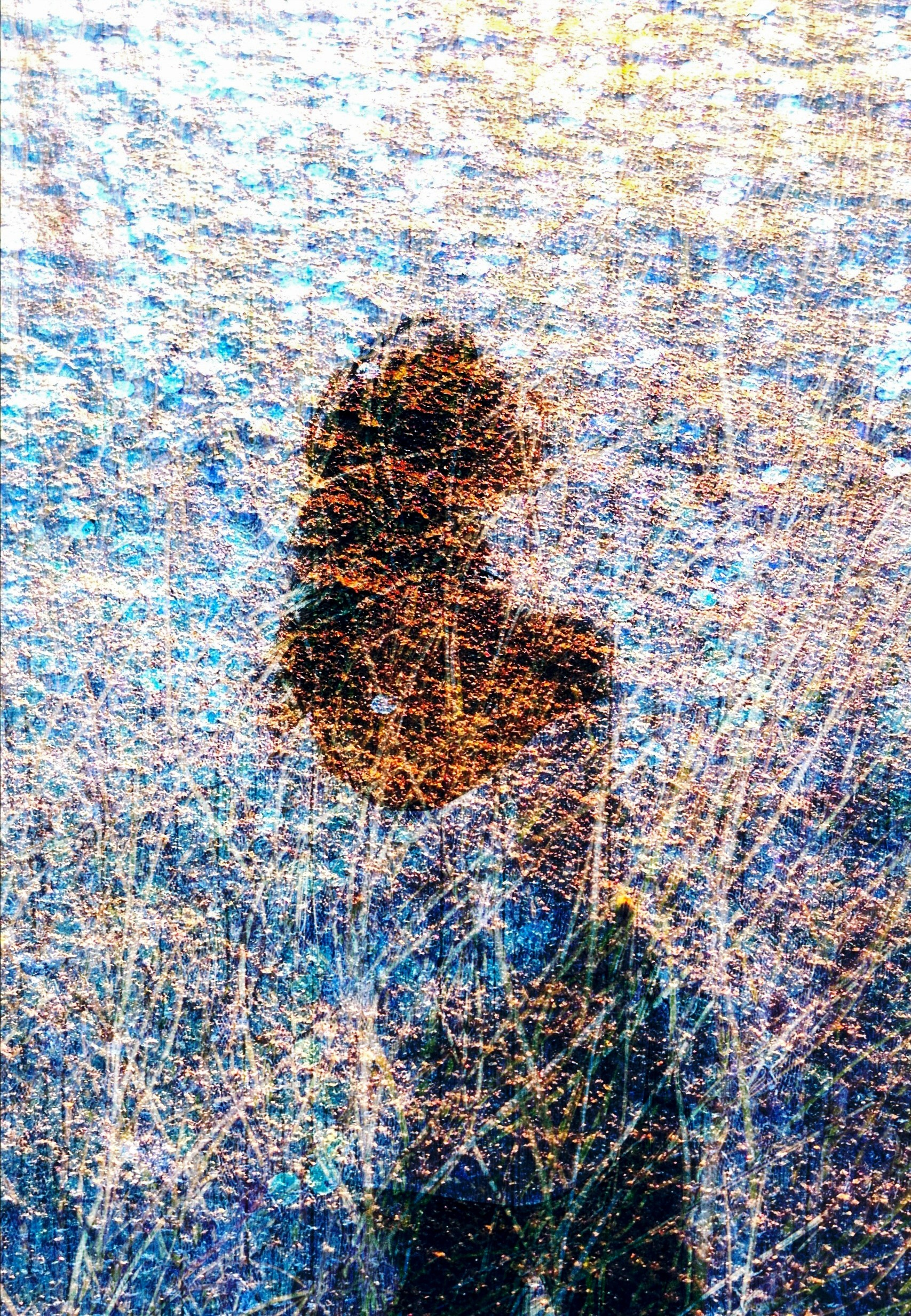 Проекти. Фотограф Оксана Ляшенко Дніпро Україна Oksain