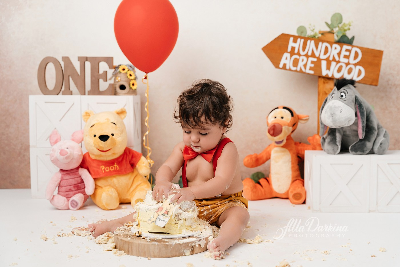 Winnie The Pooh cake smash session. Newborn and family photographer. Hills District. Sydney