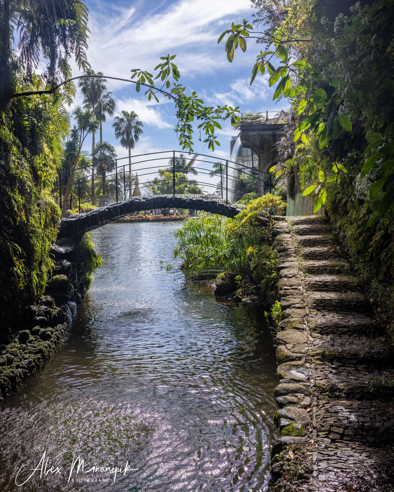 Azores And Madeira. Alex Mironyuk Photography