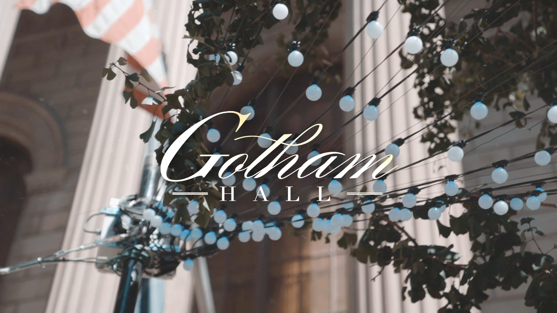 Video. Wedding Photo & Video