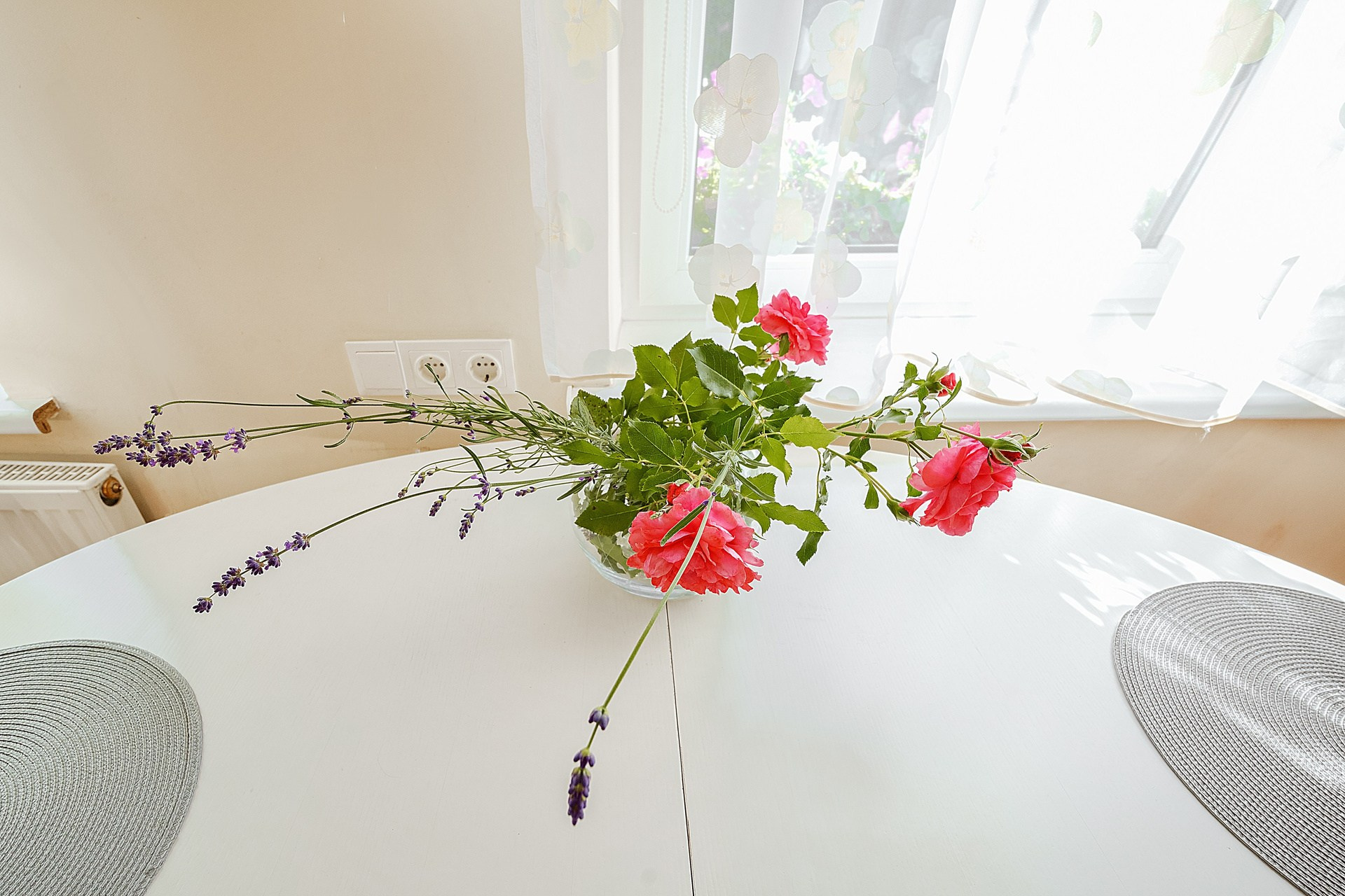 Elina Sapiega fotografė Vilniuje