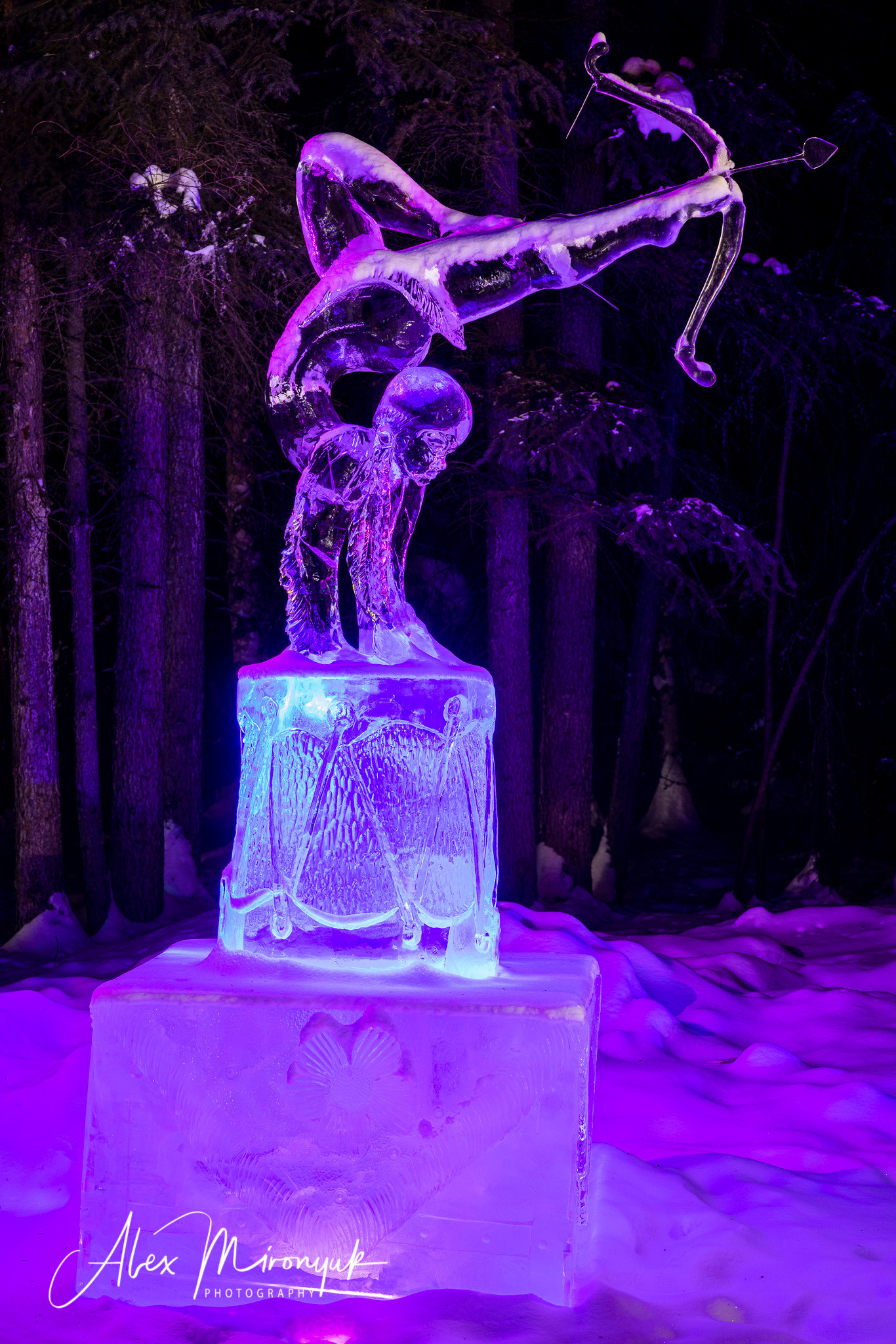 Ice Caves Adventure. Pet, Senior, Landscape, portrait studio, photographer in Miami and Sou