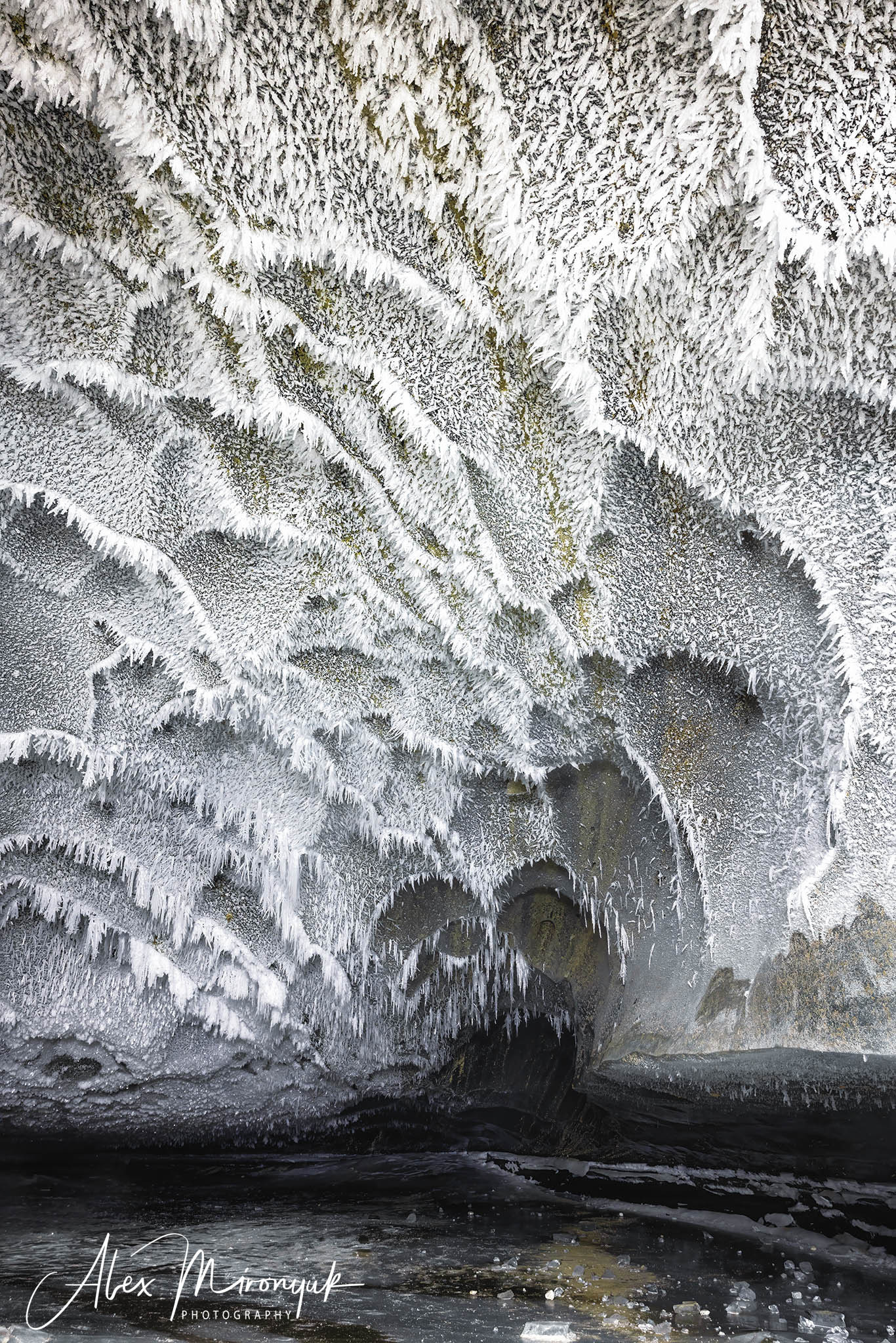 Ice Caves Adventure. Pet, Senior, Landscape, portrait studio, photographer in Miami and Sou