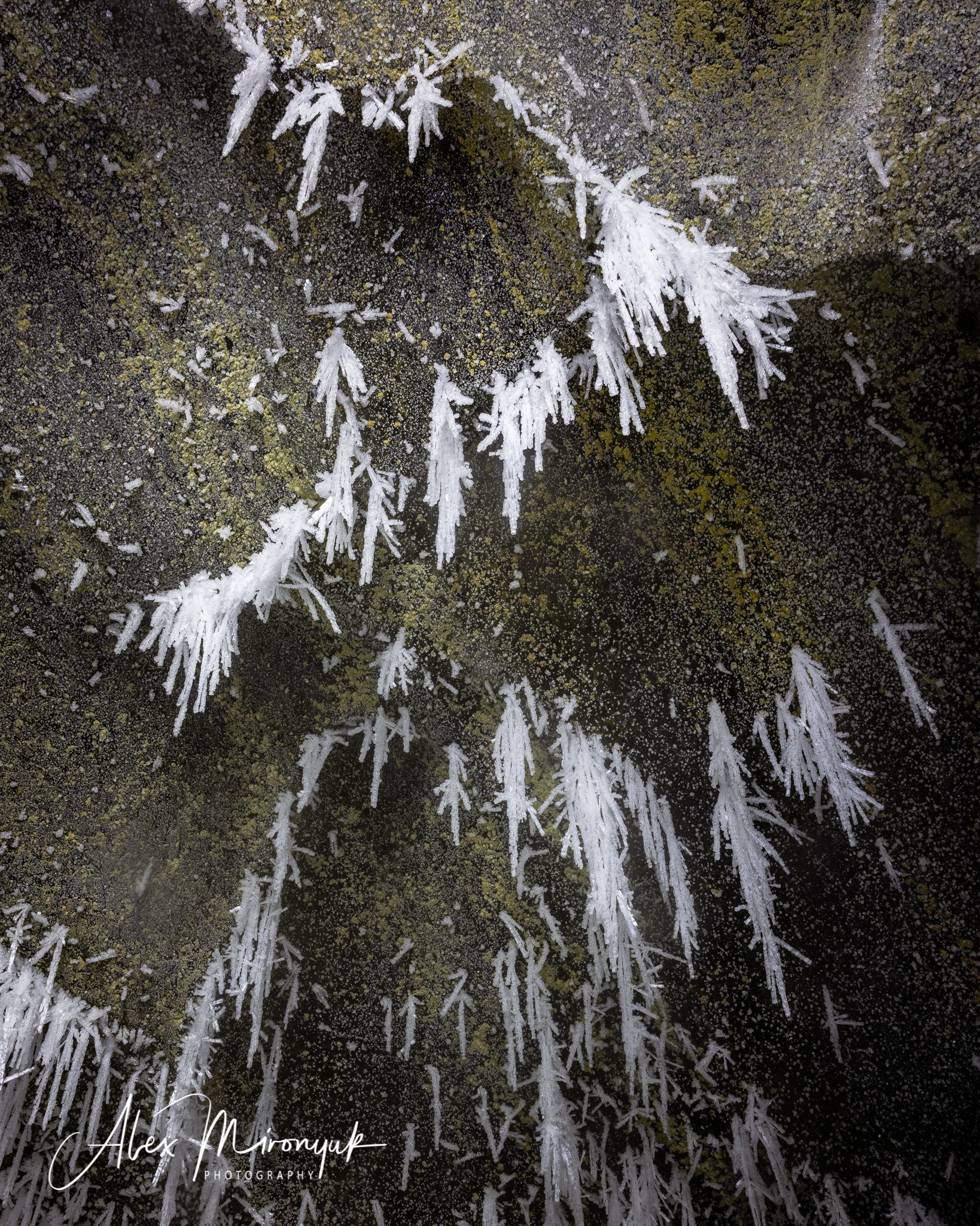 Ice Caves Adventure. Pet, Senior, Landscape, portrait studio, photographer in Miami and Sou