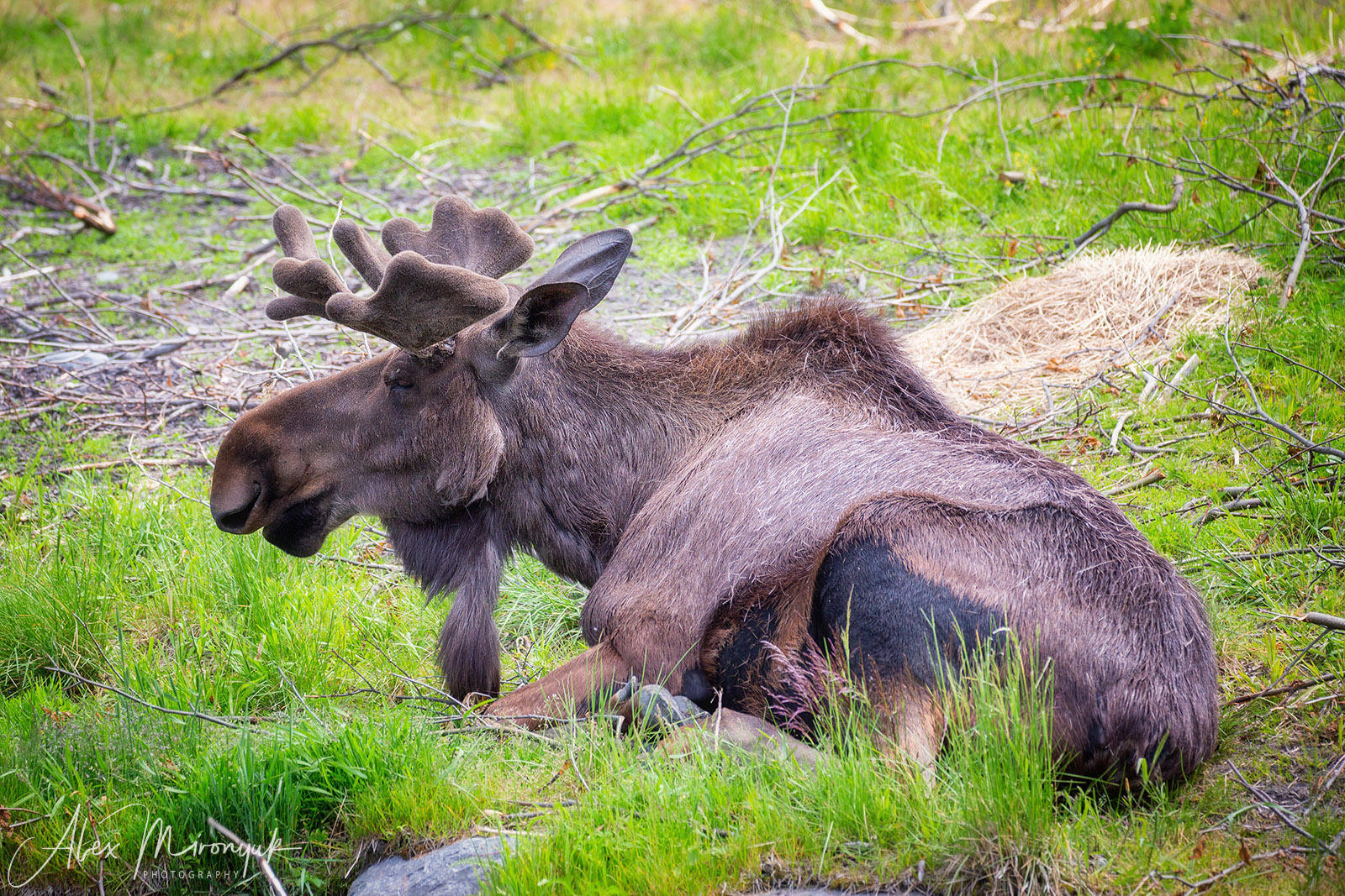 Unknown Alaska. Alex Mironyuk Photography