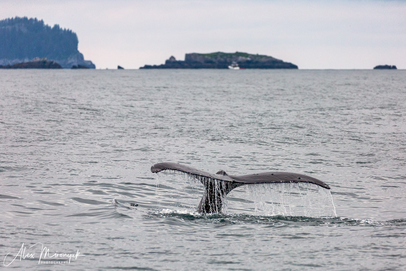 Unknown Alaska. Alex Mironyuk Photography
