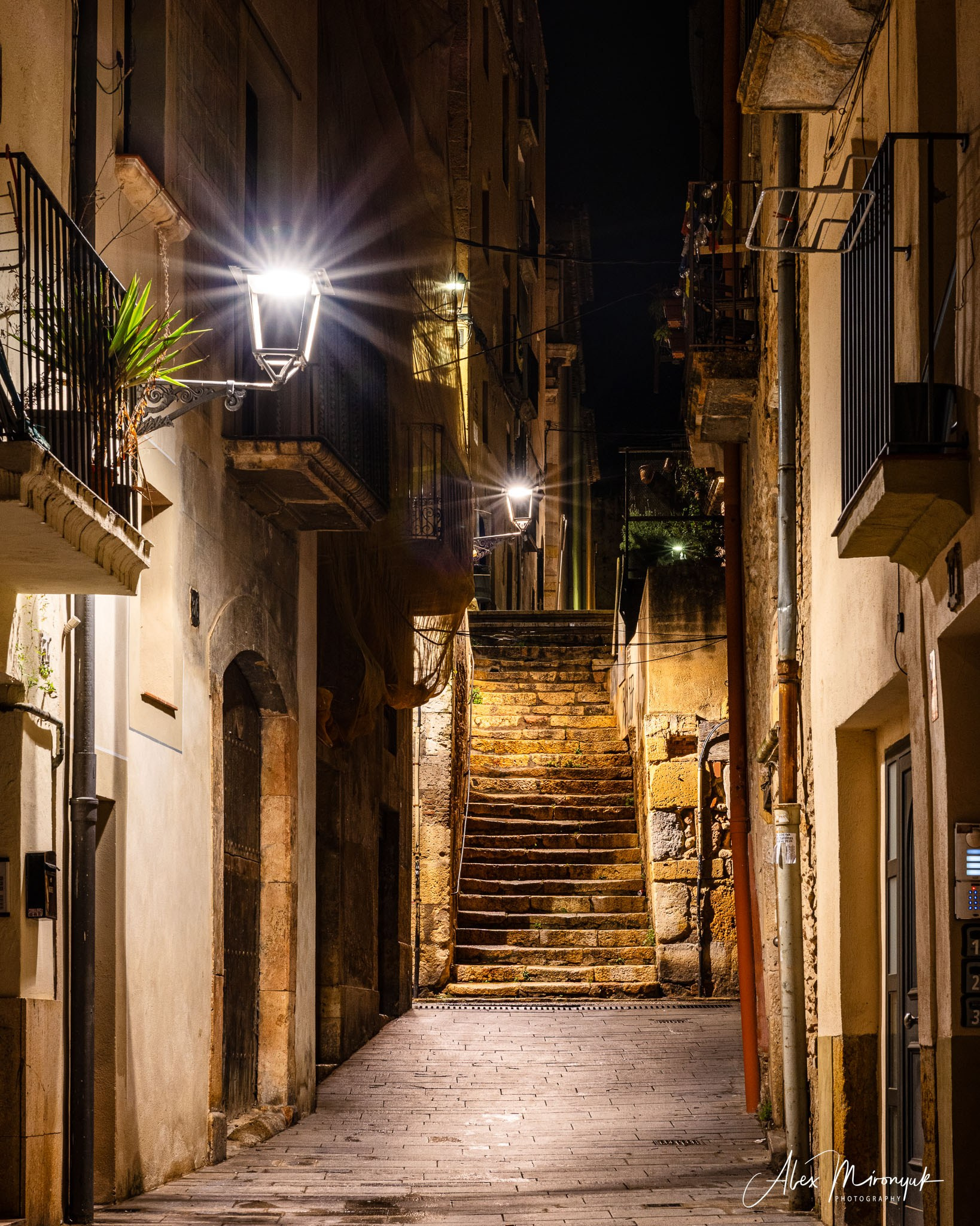 Catalonian Medieval Castles. Pet, Senior, Landscape, portrait studio, photographer in Miami and Sou