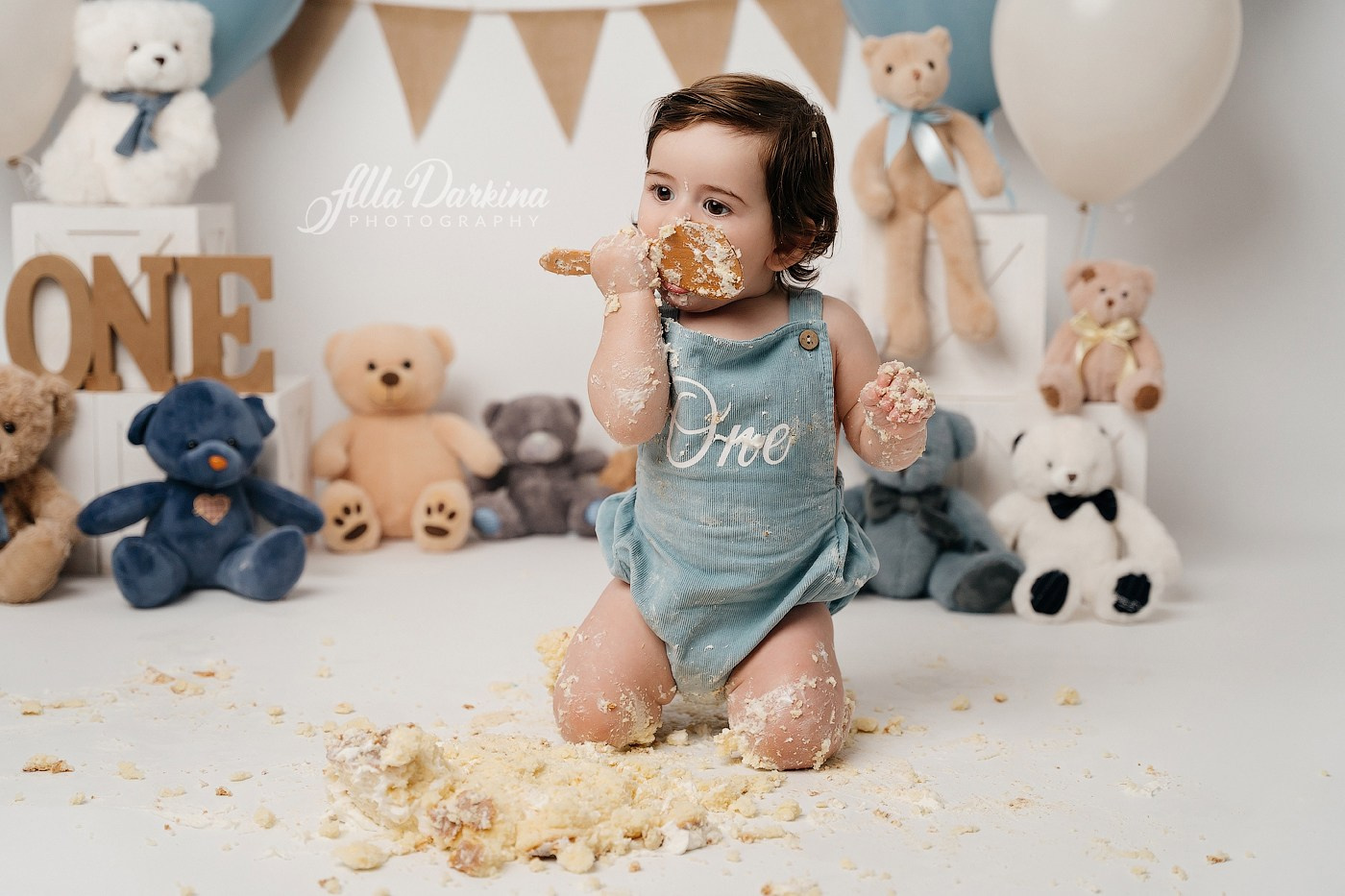 Teddy bear cake smash session. Newborn and family photographer. Hills District. Sydney