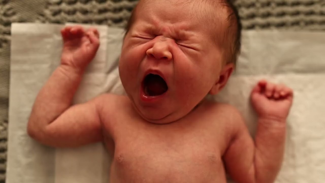 Fotografa documental de familia e nascimento em Florianópolis SC Daria Ermolaev