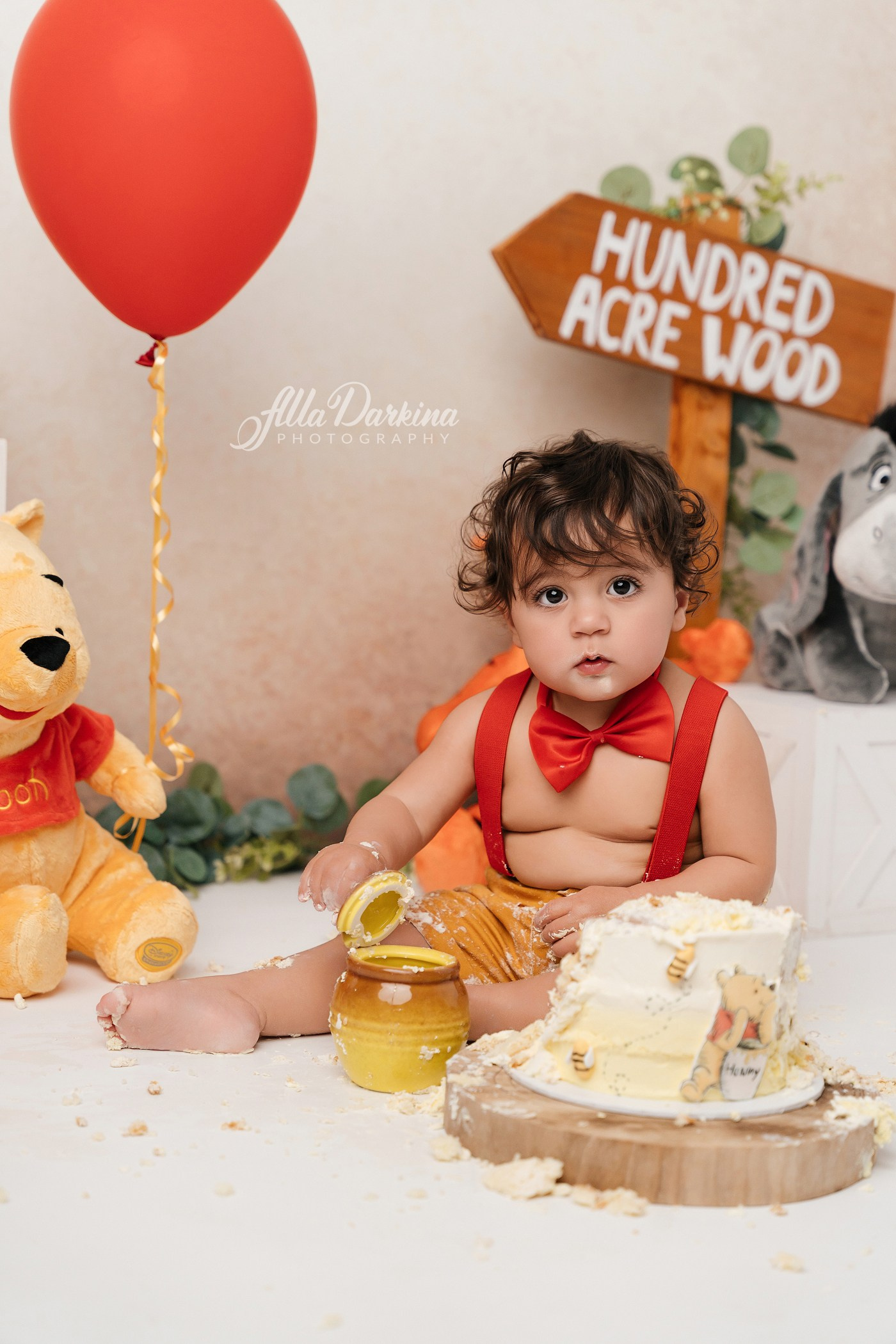 Winnie The Pooh cake smash session. Newborn and family photographer. Hills District. Sydney