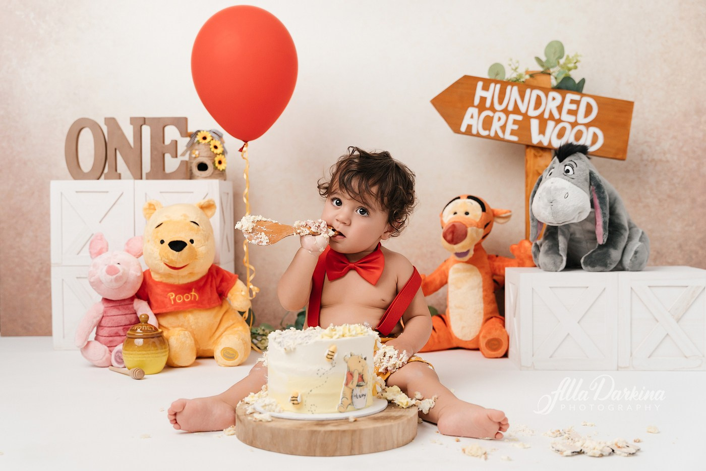 Winnie The Pooh cake smash session. Newborn and family photographer. Hills District. Sydney