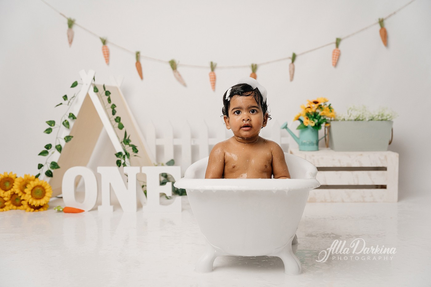 First birthday celebration. Newborn and family photographer. Hills District. Sydney