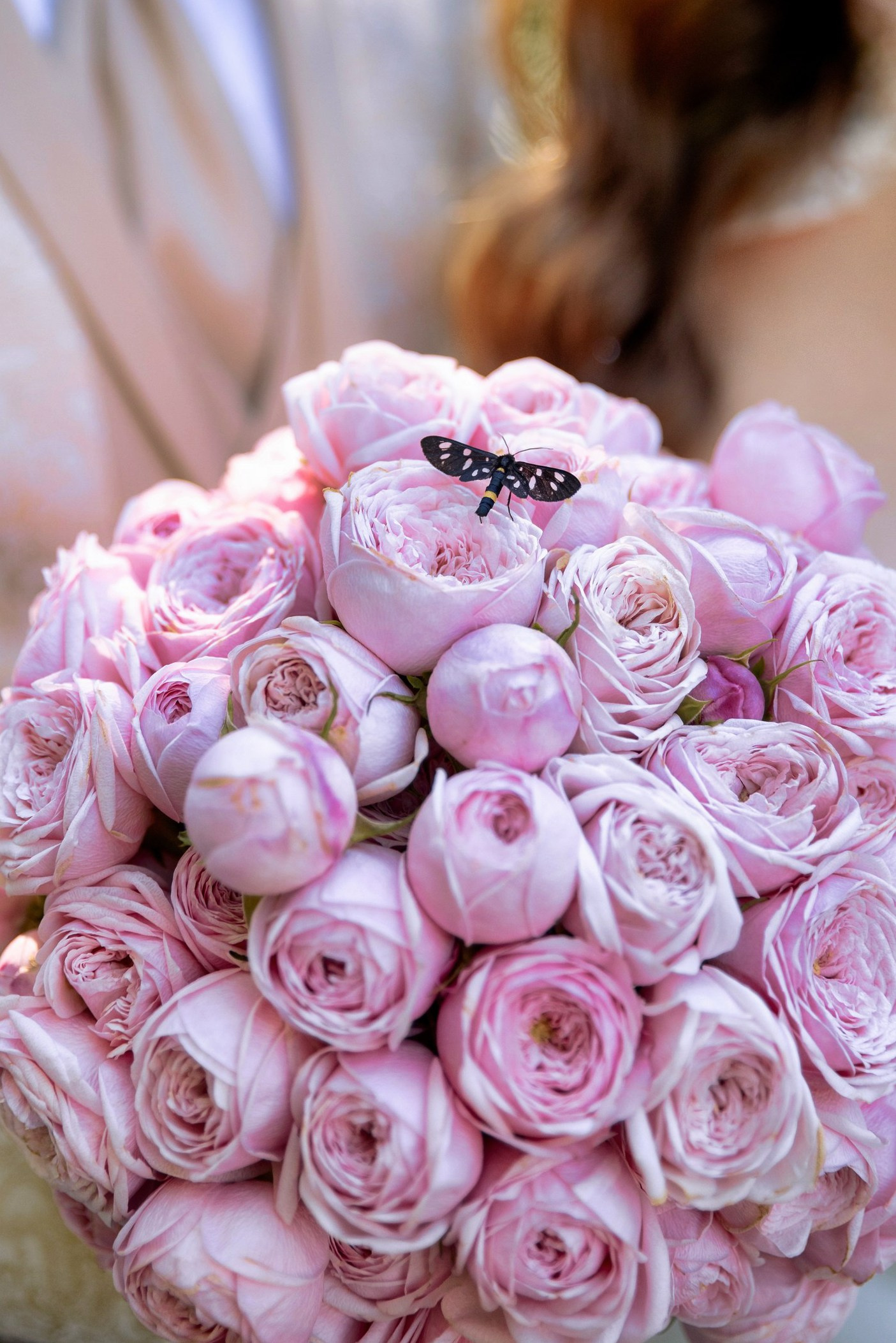 botez Luca Nectarie 22 februarie 2026 fotograf profesionist • fotograf botez Botoșani Luca Nectarie biserică • părinți Răzvan și Ramona botez copil emoții familie • nași Marin și Rodica botez copil fotografie profesională • detalii botez lumânare cristelniță biserică România • copil Luca Nectarie în brațe la botez moment emoționant • familie fericită la botez copil fotograf Alin Chirilă • fotografie botez naturală lumină caldă biserică • portret copil botez Luca Nectarie fotograf profesionist • momente autentice botez România familie și nași • slujbă botez copil imagini emoționante biserică • fotograf botez Iași și Botoșani Alin Chirilă - nunta--fotograf-profesionist-botosani - fotografie-nunta-romantica - imagini-nunta-in-natura-alin-chirila-fotograf - fotografii-cuplu-indragostit-nunta-botosani - sedinta-foto-miri-andrei-iustina-alinofotostudio - amintiri-din-nunta-realizate-de-fotograf-profesionist - povestea-nuntii-andrei-si-iustina-in-imagini-alinofotostudio-fotograf evenimente- evenimente Botoșani -fotograf Suceava - fotograf Iași- servicii foto. servicii foto Botoșani. servicii foto video Botoșani. otograf-nunta-botosani-fotograf nunta. fotograf evenimente. fotograf nunta Botoșani. Alin chirila. Alin chirila fotograf. Alinofotostudio.- servicii foto. servicii foto Botoșani. servicii foto video Botoșani. fotograf nunta. fotograf evenimente. fotograf nunta Botoșani. Alin chirila. Alin chirila fotograf. Alinofotostudio.fotograf stare civilă,poze stare civilă,album foto stare civilă,servicii foto suceava,fotograf evenimente suceava,fotograf nuntă suceava,poze cununie civilă,ședință foto stare civilă,sesiune foto suceava,fotograf profesionist suceava,fotograf botosani,stare civila botosani,alinofotostudio,alin chirila fotograf.servicii foto. servicii foto Botoșani. servicii foto video Botoșani. fotograf nunta. fotograf evenimente. fotograf nunta Botoșani. Alin chirila. Alin chirila fotograf. Alinofotostudio.fotograf stare civilă,poze stare civilă,album foto stare civilă,servicii foto suceava,fotograf evenimente suceava,fotograf nuntă suceava,poze cununie civilă,ședință foto stare civilă,sesiune foto suceava,fotograf profesionist suceava,fotograf botosani,stare civila povestitor prin fotografiebotosani,alinofotostudio,alin chirila fotograf,servicii foto. servicii foto Botoșani. servicii foto video Botoșani. fotograf nunta. fotograf evenimente. fotograf nunta Botoșani. Alin chirila. Alin chirila fotograf. Alinofotostudio.fotograf stare civilă,poze stare civilă,album foto stare civilă,servicii foto suceava,fotograf evenimente suceava,fotograf nuntă suceava,poze cununie civilă,ședință foto stare civilă,sesiune foto suceava,fotograf profesionist suceava,fotograf botosani,stare civila botosani,alinofotostudio,alin chirila fotograf,cununie religioasă botoșani,andreea și neculai,capela militară botoșani,foto conacul zăicești,fotograf nuntă botoșani,fotograf cununie religioasă,foto evenimente botoșani,poze cununie capela militară,ședință foto zăicești,fotograf profesionist botoșaniMire și mireasă – Sergiu & Liliana – ziua nunții, 2024 - Emoții în ziua nunții – Sergiu și Liliana - Dansul mirilor – fotografie artistică nuntă 2024 - Sedinta foto romantică în natură – Sergiu & Liliana - Rochia de mireasă și detalii de nuntă elegan-Album de cununie civilă Florin și Anda – Fotografii profesionale realizate de Alin Chirilă în Botoșani -fotograf prin fotografie-Ședință foto Trash the Dress pe muntele Rarău cu Iulian și Iuliana – fotografie de cuplu, natură montană, emoție autentică surprinsă de Alin Chirilă, povestitor prin fotografie.- "Iulian și Iuliana pe crestele Rarăului – fotografie Trash the Dress în natură" - "Cuplu îmbrățișat la apus pe muntele Rarău – ședință foto după nuntă" - "Rochie de mireasă în vânt pe munte – Trash the Dress Rarău-1. Iulian și Iuliana pe muntele Rarău – ședință foto Trash the Dress în natură, cu peisaj montan spectaculos 2. Cuplu în îmbrățișare pe Rarău – emoție autentică surprinsă după nuntă 3. Rochie de mireasă în bătaia vântului – fotografie artistică Trash the Dress în munți 4. Mire și mireasă privind spre orizont – dragoste și libertate pe muntele Rarău 5. Iuliana zâmbind în rochia de mireasă – portret în natură, Trash the Dress 6. Iulian ținându-și mireasa de mână – ședință foto romantică pe munte 7. Detaliu cu rochia pe stâncă – estetică naturală Trash the Dress Rarău 8. Cuplu în mers pe poteca Rarăului – fotografie simbolică de după nuntă 9. Apus de soare pe Rarău în spatele mirilor – imagine de poveste Trash the Dress 10. Iulian și Iuliana râzând împreună – momente autentice surprinse de Alin Chirilă, povestitor prin fotografie-fotograf-nunta-cerbu-botosan trash-the-dress-botosani Alin Chirilă Fotograf – fotograf de nuntă Botoșani-fotograf nuntă Botoșani-fotograf nuntă Cerbu Botoșani-fotograf profesionist nuntă Botoșani-fotografie de nuntă Botoșani-fotograf evenimente Botoșani-fotograf nuntă Moldova-fotograf trash the dress Botoșani - fotograf pregătirea mirilor Botoșani -fotograf ceremonie religioasă nuntă-fotograf petrecere nuntă Botoșani- fotograf nuntă Botoșani pregătirea mirelui- pregătirea mirelui fotografie nuntă Cerbu Botoșani-fotograf nuntă Botoșani pregătirea miresei -mireasă pregătiri nuntă Cerbu Botoșani-fotograf nuntă Botoșani nașii mirilor-ceremonie religioasă nuntă Cerbu Botoșani-fotograf nuntă Botoșani ceremonie religioasă biserică-petrecere nuntă Cerbu Botoșani invitați dans-fotograf nuntă Botoșani petrecere restaurant-ședință foto trash the dress-fotograf trash the dress Botoșani ședință foto după nuntă-Fotograf nuntă Botoșani – galerie foto reală de la evenimente stare civilă Sebi și Claudia Copălău • cununie civilă Primăria Copălău Botoșani • miri emoționați la starea civilă • semnarea actelor cununie civilă • fotografii naturale stare civilă Botoșani • familie și prieteni la cununie civilă • cadre emoționale cununie civilă • fotograf profesionist Botoșani eveniment stare civilă Sebi și Claudia la Primăria Copălău Botoșani fotograf evenimente • fotograf cununie civilă Copălău Botoșani cadre naturale și emoționale • fotograf profesionist Botoșani stare civilă Sebi și Claudia • momente autentice cununie civilă Copălău fotograf Alin Chirilă • fotografii emoționale stare civilă în județul Botoșani• fotograf nunta Oana si Ionut juraminte emotii reale • mireasa Oana juraminte nunta fotografie profesionala • mire Ionut citind juraminte nunta eleganta • juraminte nunta emotionante Oana si Ionut fotograf • fotograf nunta Botosani momente autentice juraminte • mireasa cu emotii in timpul juramintelor nunta • mire elegant costum bej juraminte nunta • fotografii nunta premium cuplu indragostit Romania • momente reale nunta juraminte fotografie artistica • sedinta foto nunta juraminte in aer liber • fotograf profesionist nunta cadre emotionante • cuplu miri juraminte iubire si credinta • detalii nunta eleganta decor floral alb verde • fotografie nunta stil fine art juraminte • poveste de dragoste surprinsa in ziua nuntii