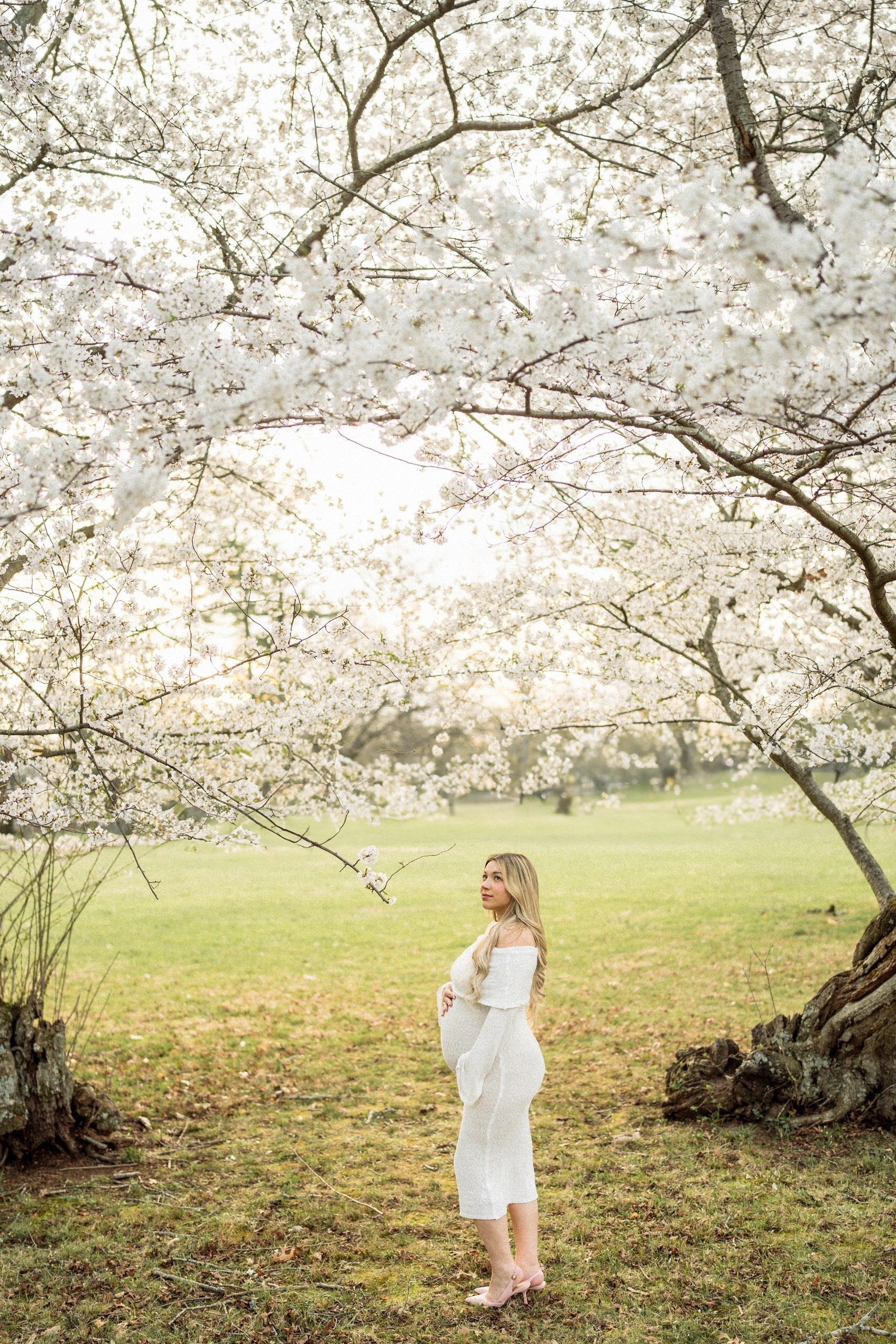 Simona, Mitchel. Alisa Tant — Family and newborn photographer Bucks County, Montgomery county, Philadelphia, NJ