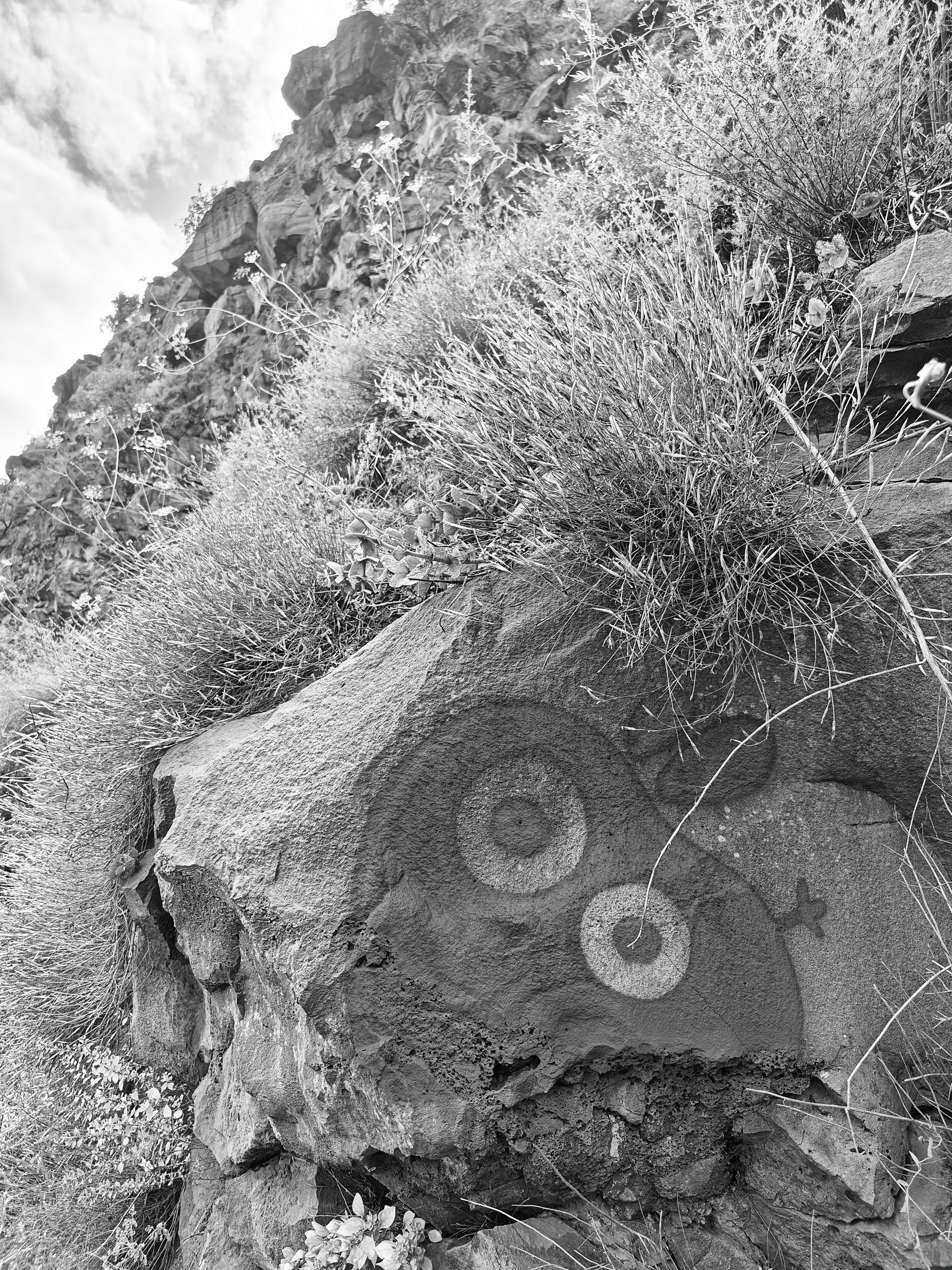 EARTH & SONG Vardablur, 2025. Areg Balayan — Photographer/Visual Artist