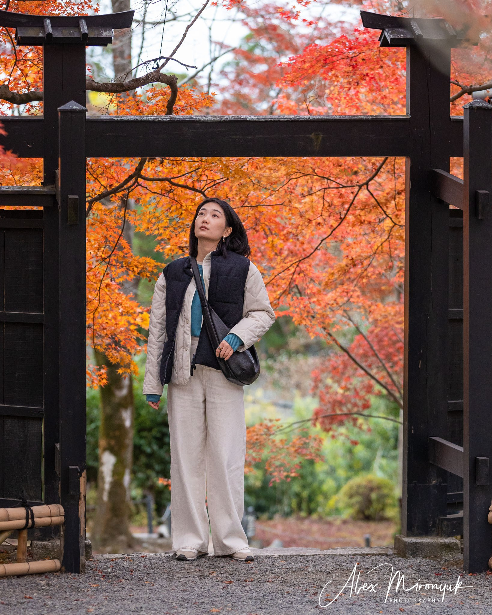 Autumn Colors of Japan. Pet, Senior, Landscape, portrait studio, photographer in Miami and Sou
