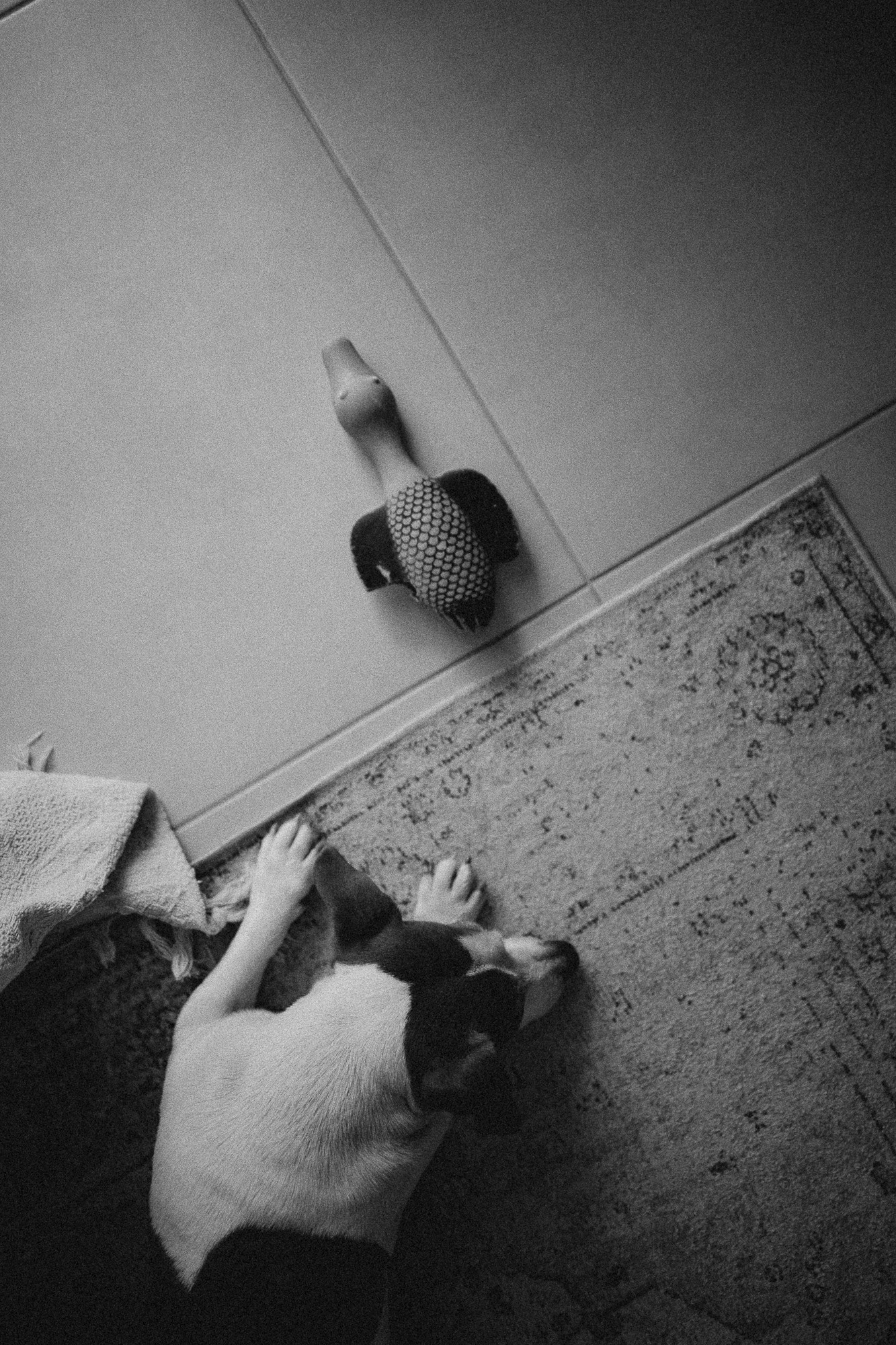 Fotografa documental de familia e nascimento em Florianópolis SC Daria Ermolaev