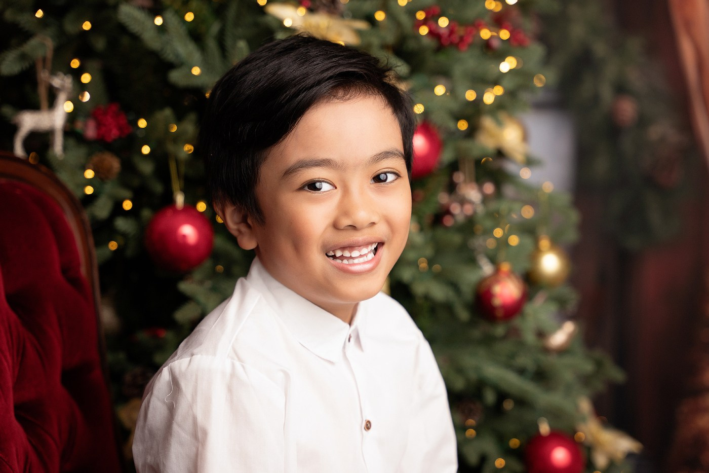 Christmas mini sessions 2025| Sydney. Newborn and family photographer. Hills District. Sydney