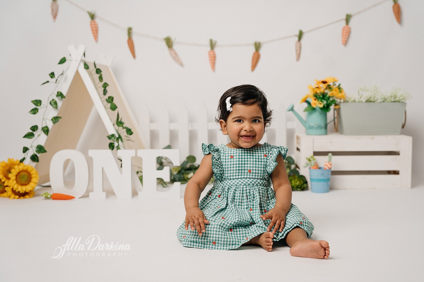 First birthday celebration. Newborn and family photographer. Hills District. Sydney