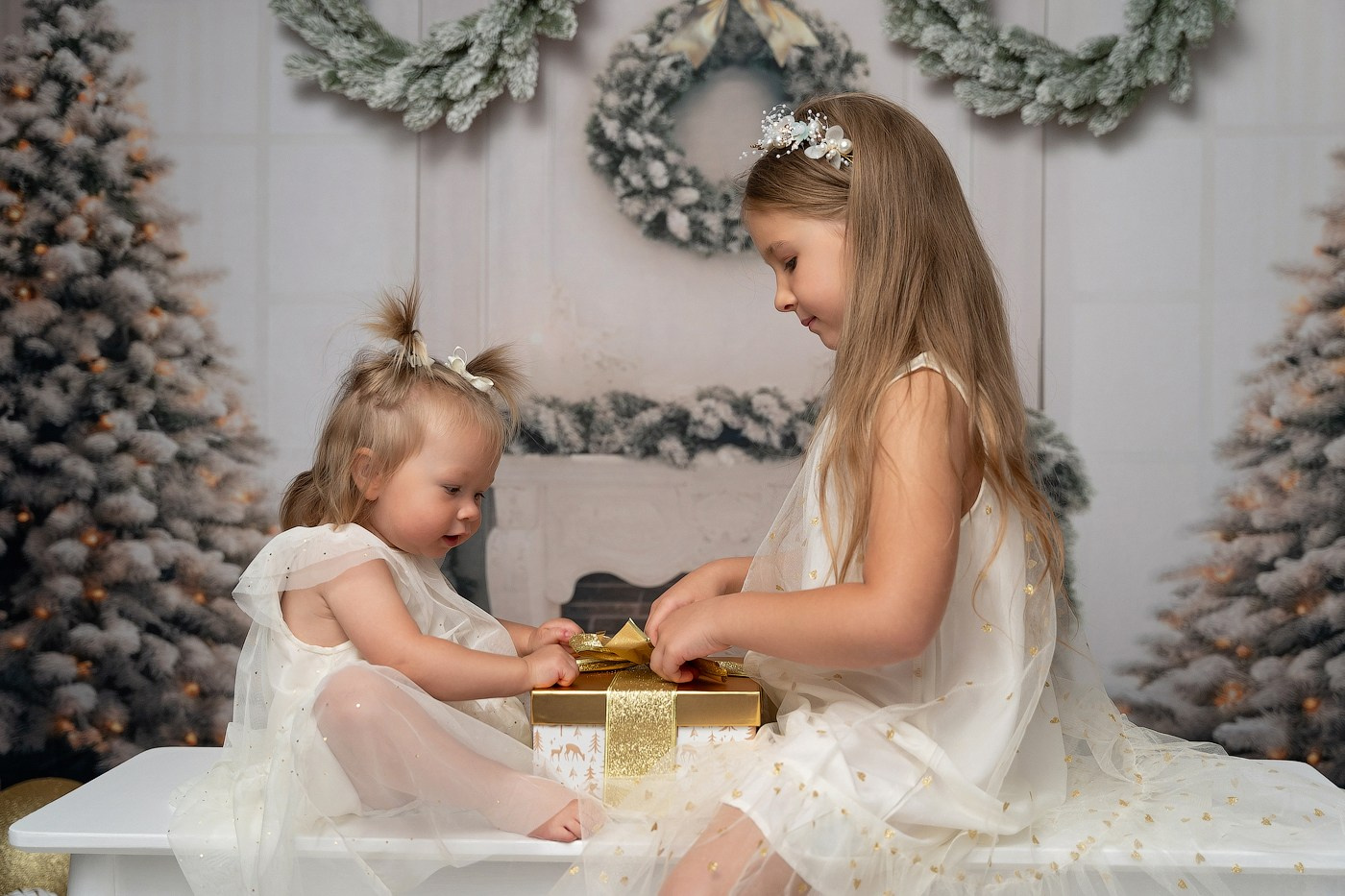 Christmas mini sessions 2025| Sydney. Newborn and family photographer. Hills District. Sydney