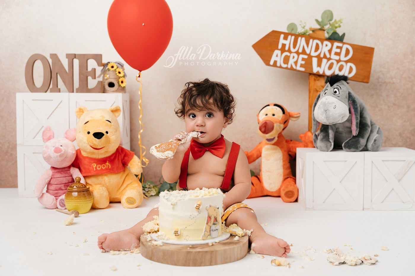 Winnie The Pooh cake smash session. Newborn and family photographer. Hills District. Sydney