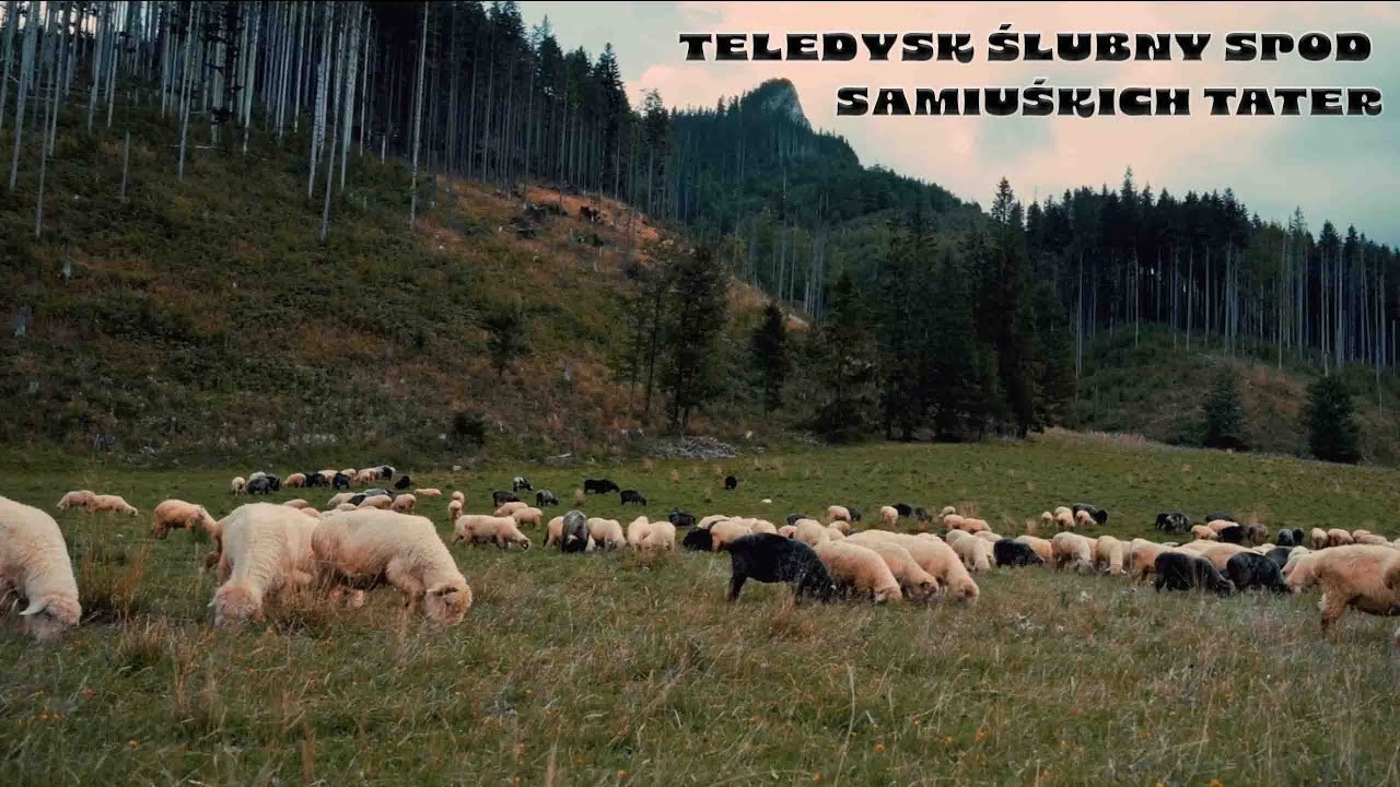 Ułamek Chwili fotografia & film