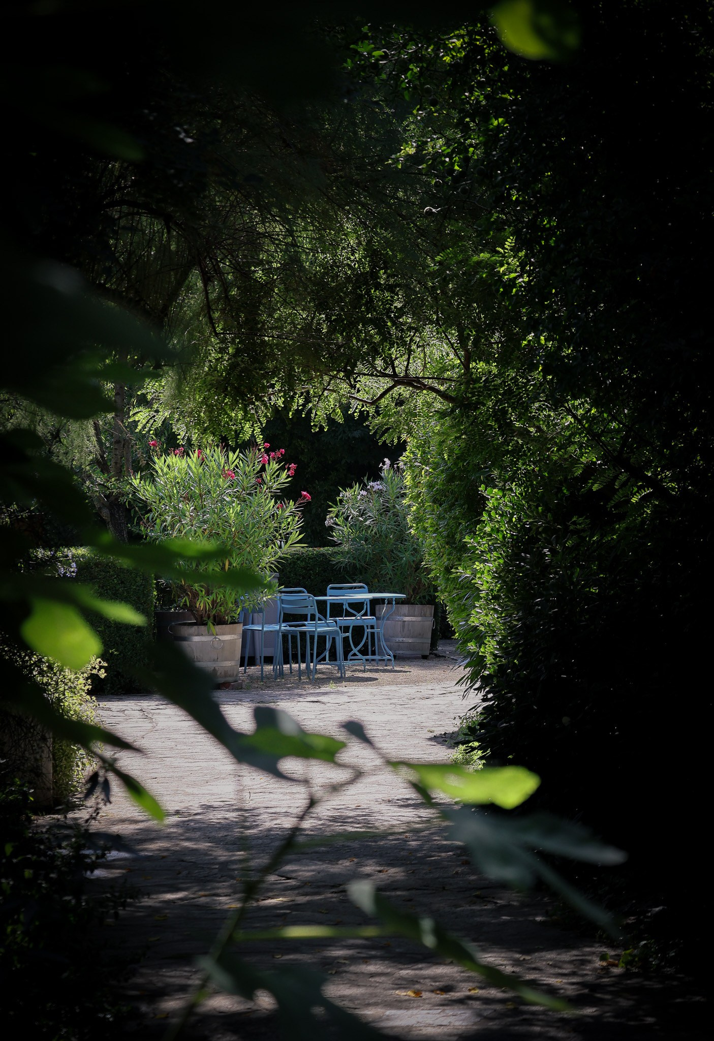 Kagran School Gardens