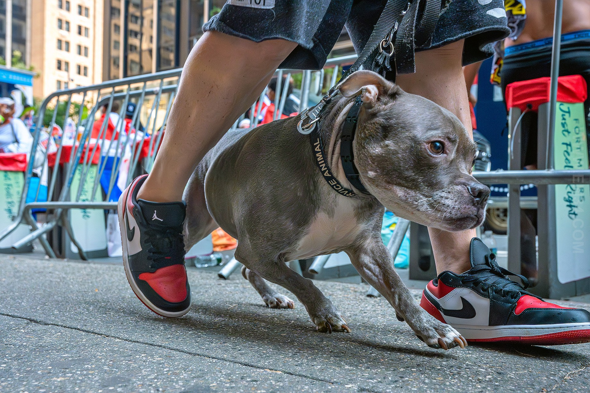 Dominican Day Parade NYC Photos — Sony A9 III + 16-35mm GM Lens Capturing 42nd to 55th Street in Stunning Street Photography. Emin Kuliyev — Award-Winning Wedding Photojournalist NYC & USA | Best Wedding Photographer Known for Candid, Timeless Moments