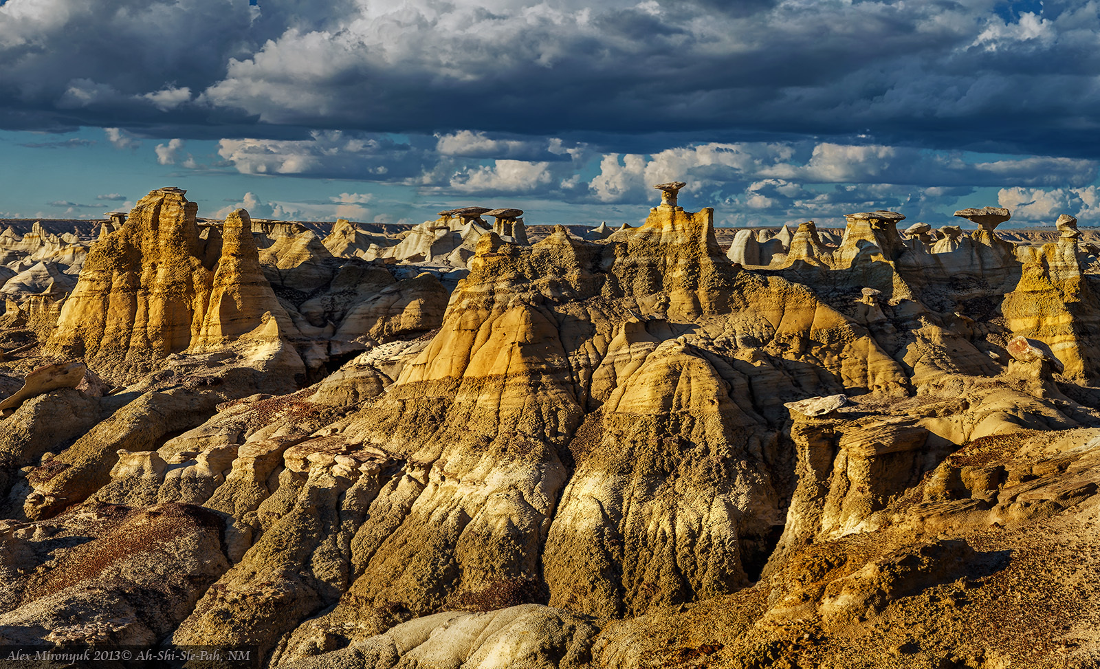 Badlands of New Mexico Unlimited. Pet, Senior, Landscape, portrait studio, photographer in Miami and Sou