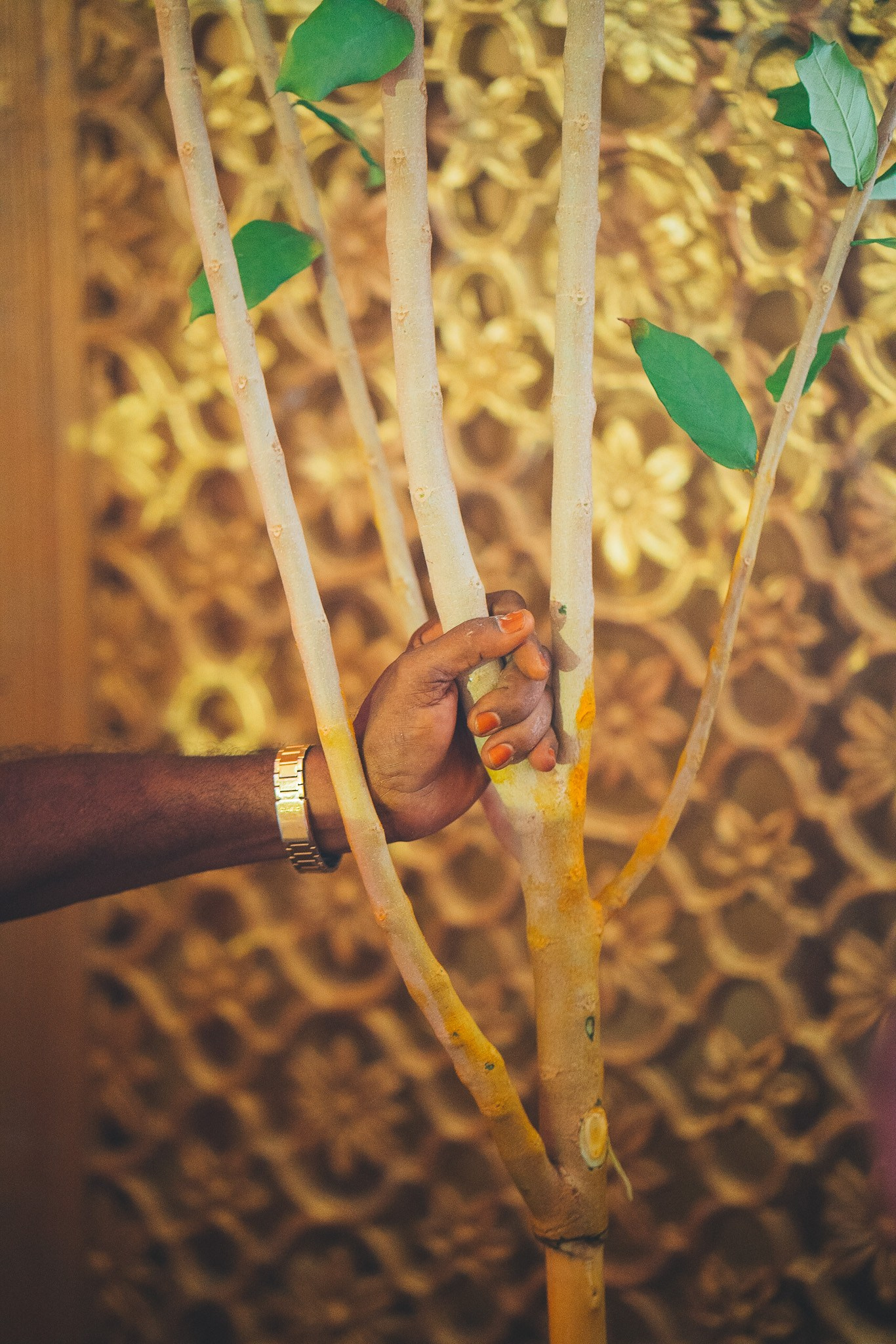 Traditional Authentic Kongu wedding at Namakkal, Tamil Nadu