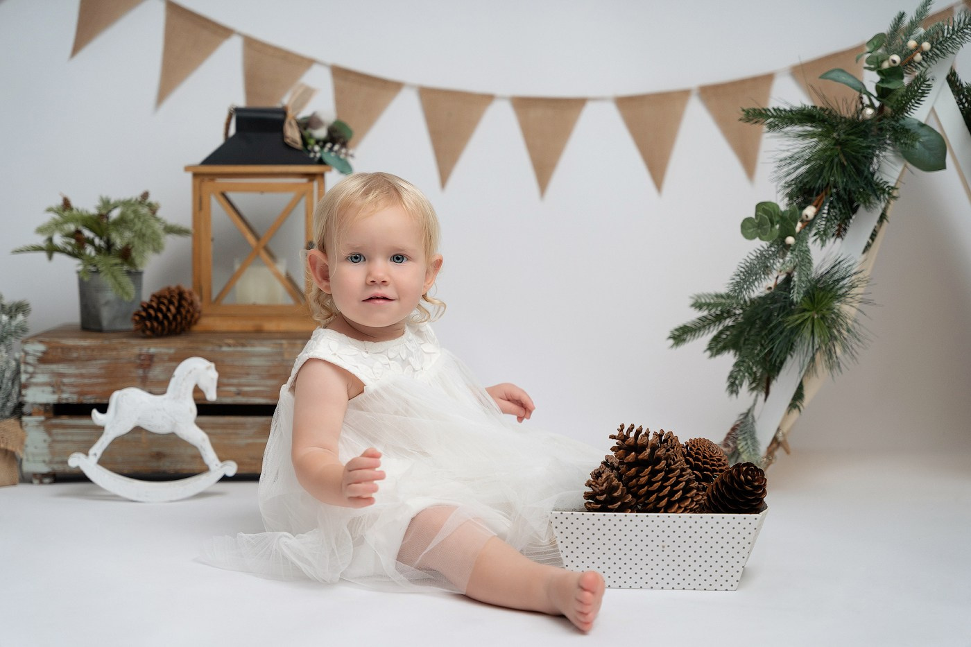 Christmas mini sessions 2025| Sydney. Newborn and family photographer. Hills District. Sydney