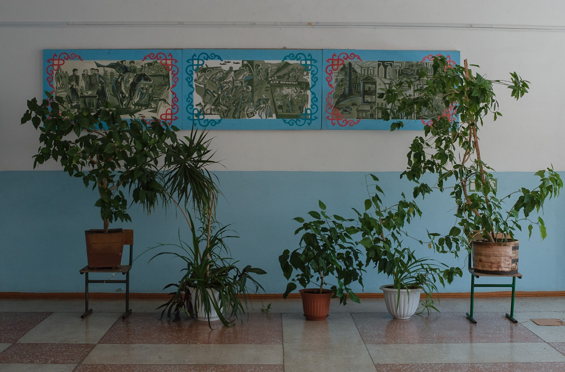 Bashkir gymnasium. Документальный и репортажный фотограф Айгуль Михайлова