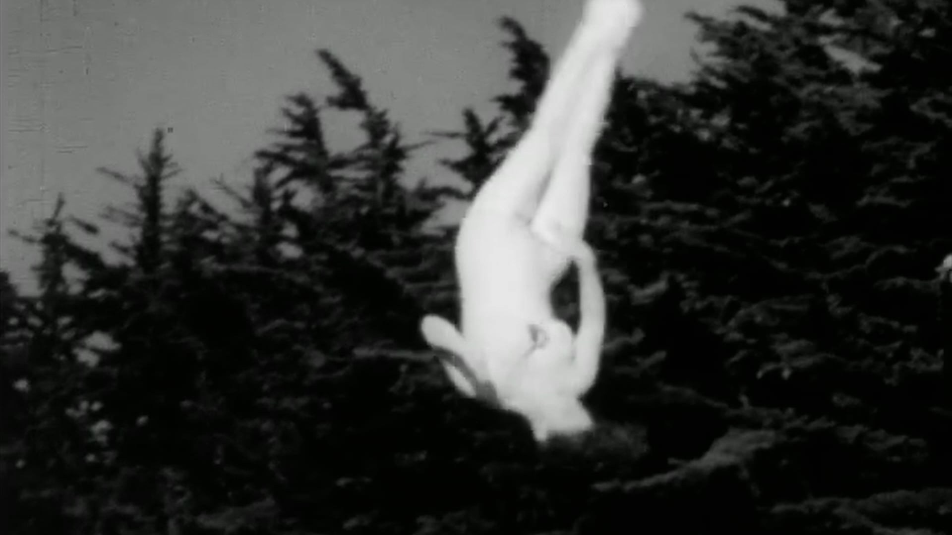 Video. Maria Bogachek Photography