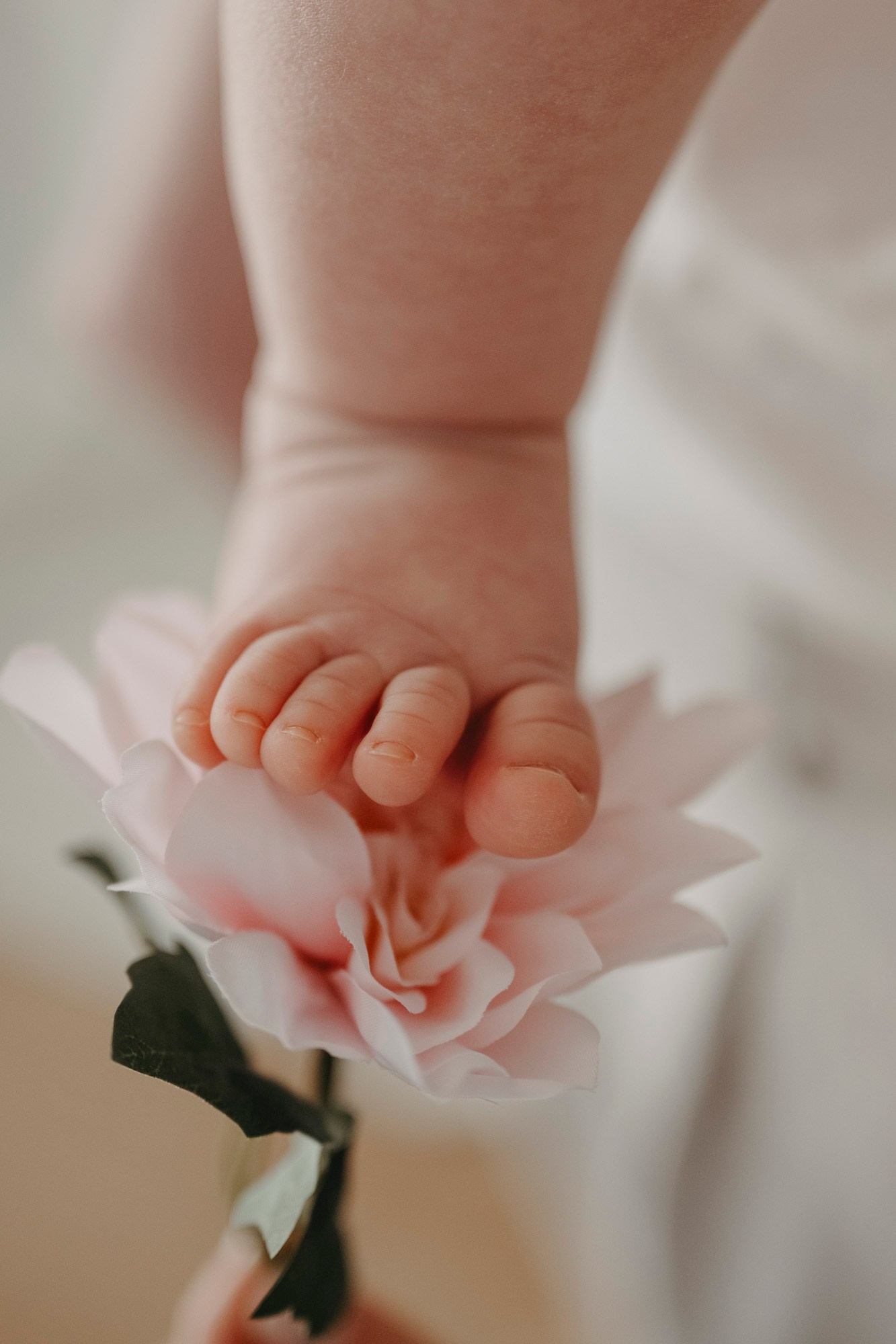 MAMINO. Deciji i porodicni fotograf u Beogradu Oksana Skendzic