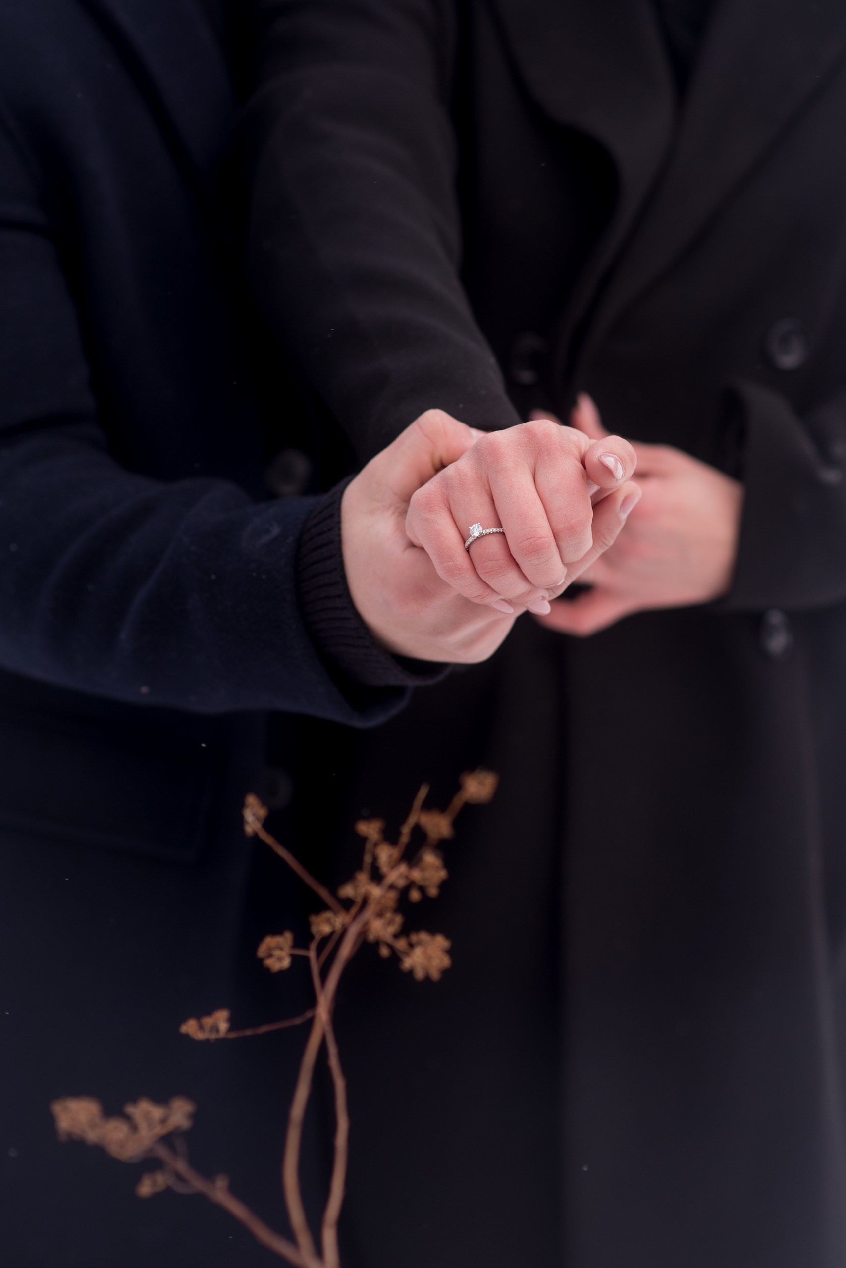 A Love Story in the Snow: Photo Shoot and Surprise Proposal. Wedding photographer in Orlando, Boston & New York Anderson Marques