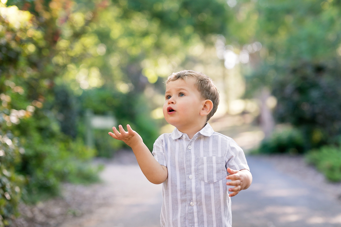 Family session price guide. Newborn and family photographer. Hills District. Sydney