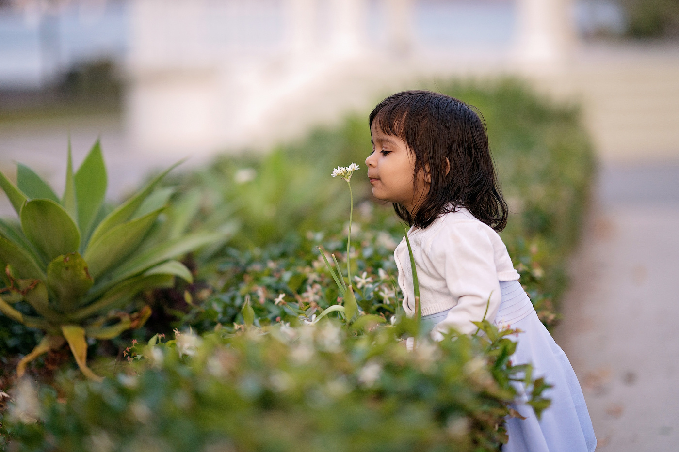 Family session price guide. Newborn and family photographer. Hills District. Sydney