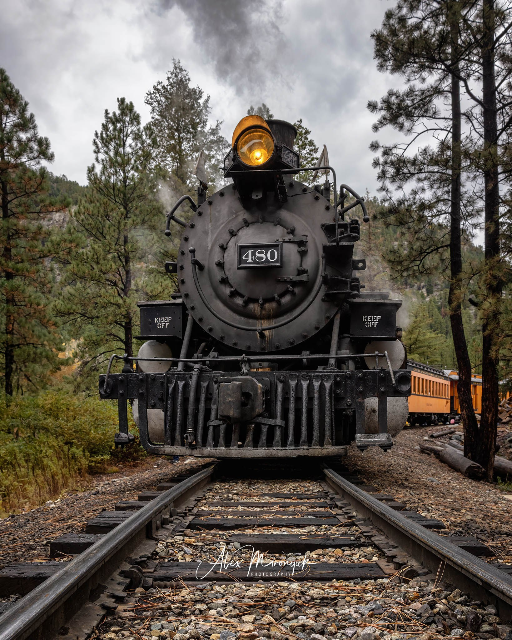 Fall Colors Of Colorado. Pet, Senior, Landscape, portrait studio, photographer in Miami and Sou