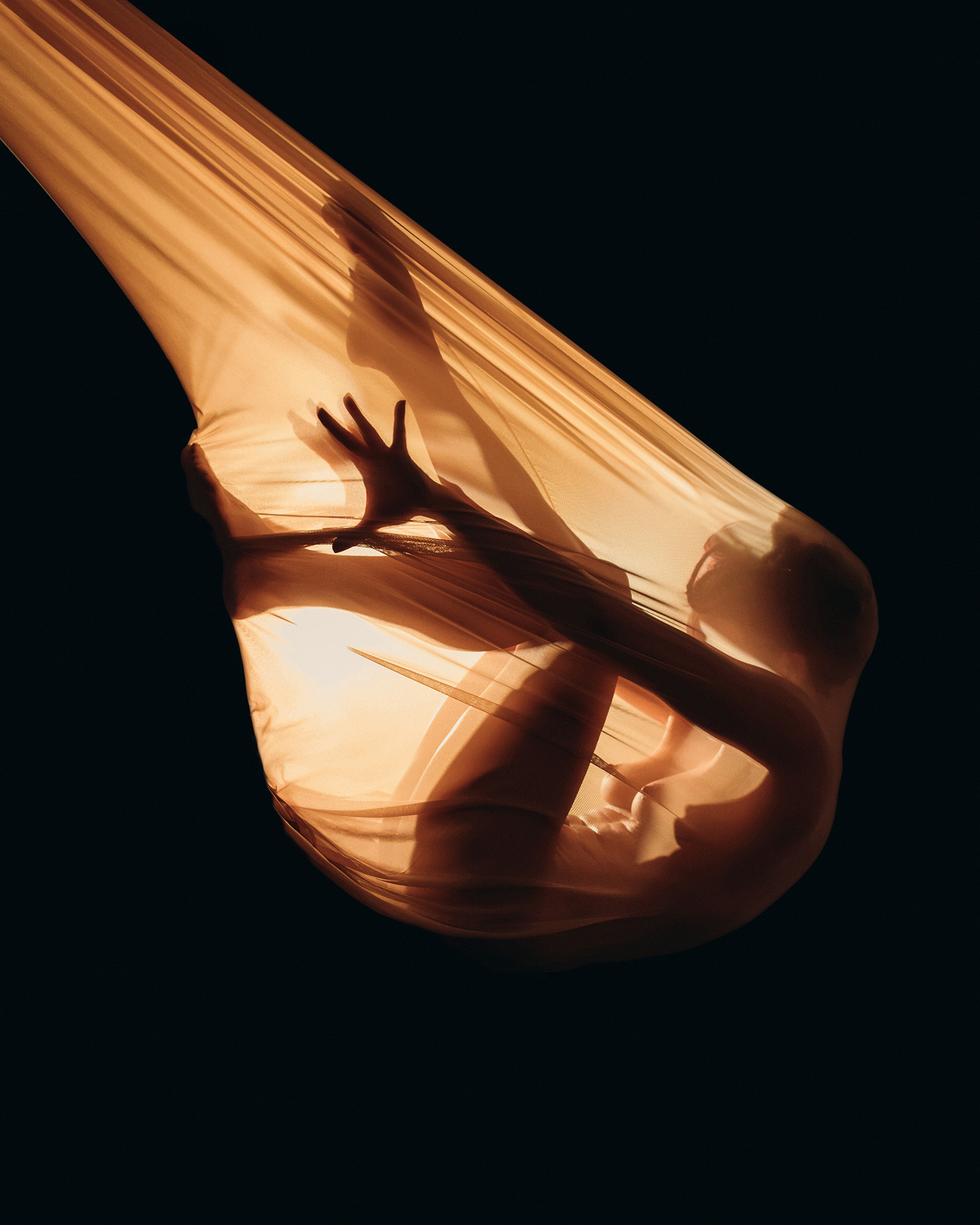 Metamorphosis. Lolly Shine. Contemporary digital artist