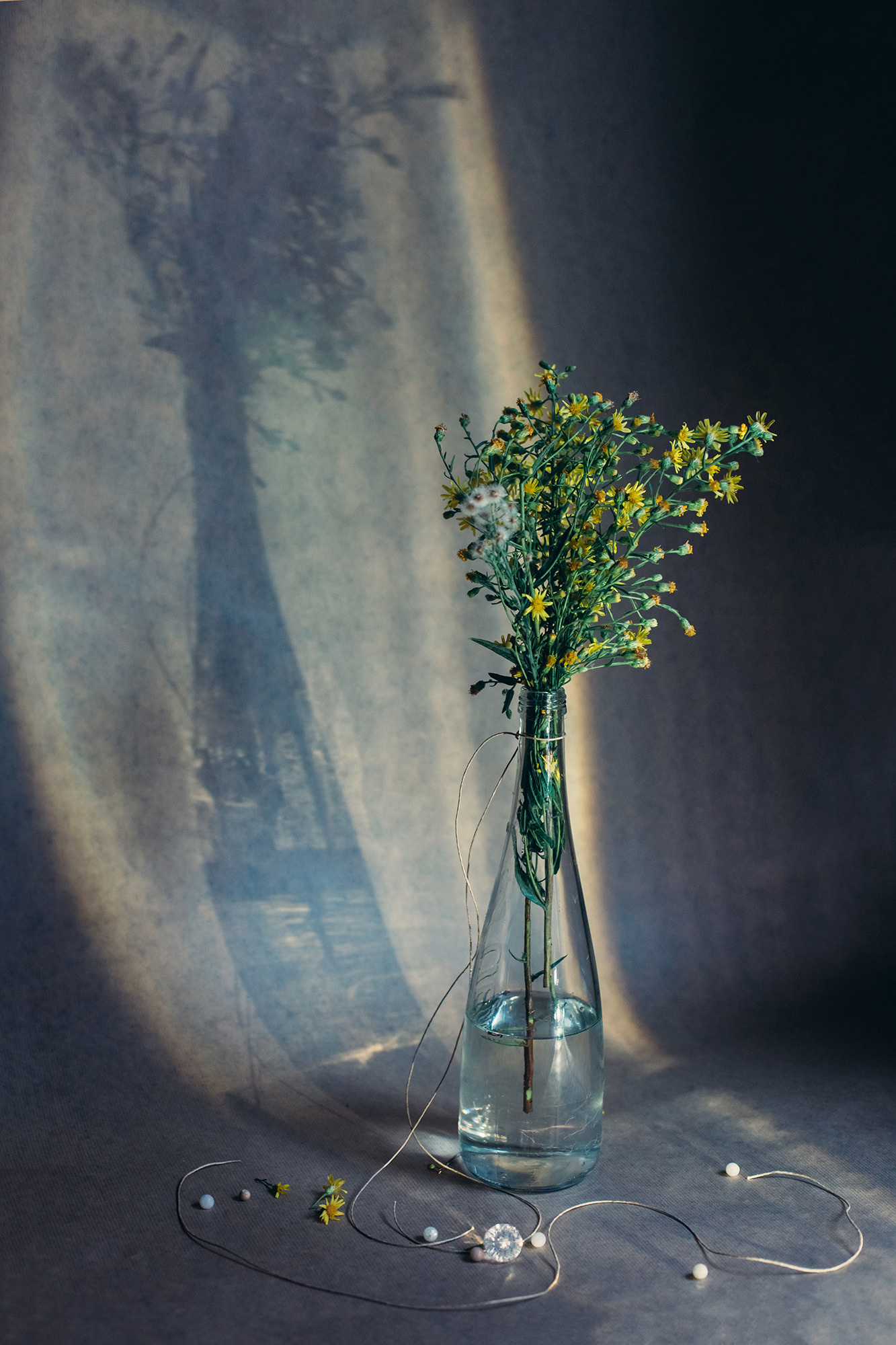 Mirage. Lolly Shine. Contemporary digital artist